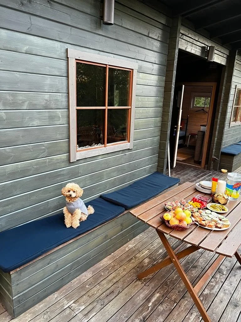 Mökilllä viihtyy myös karvaiset kaverit kuten koirat. 