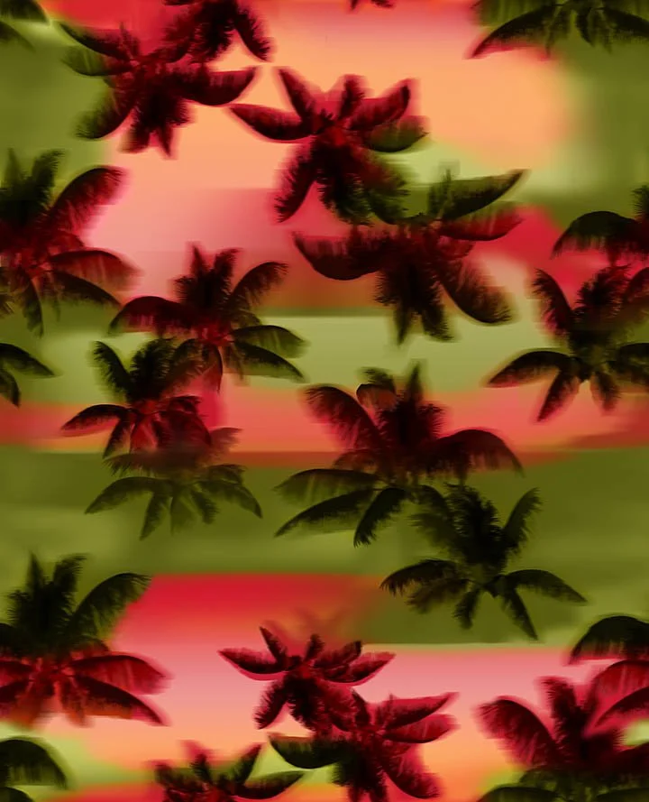 SS_00885_V4_sm.jpg
