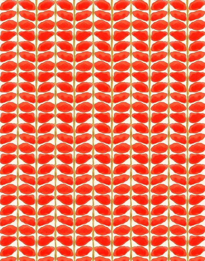 Y01172B_sm.jpg