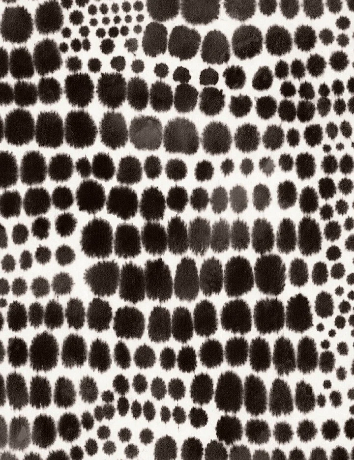 SS_01101_sm.jpg