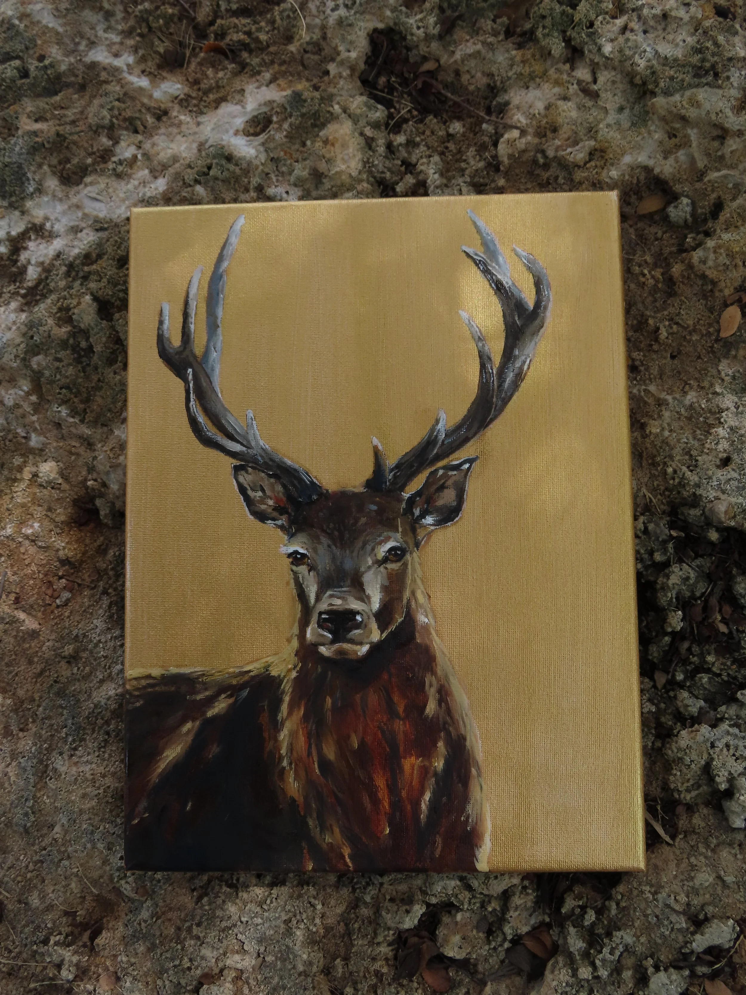 stag_new_upright.jpg