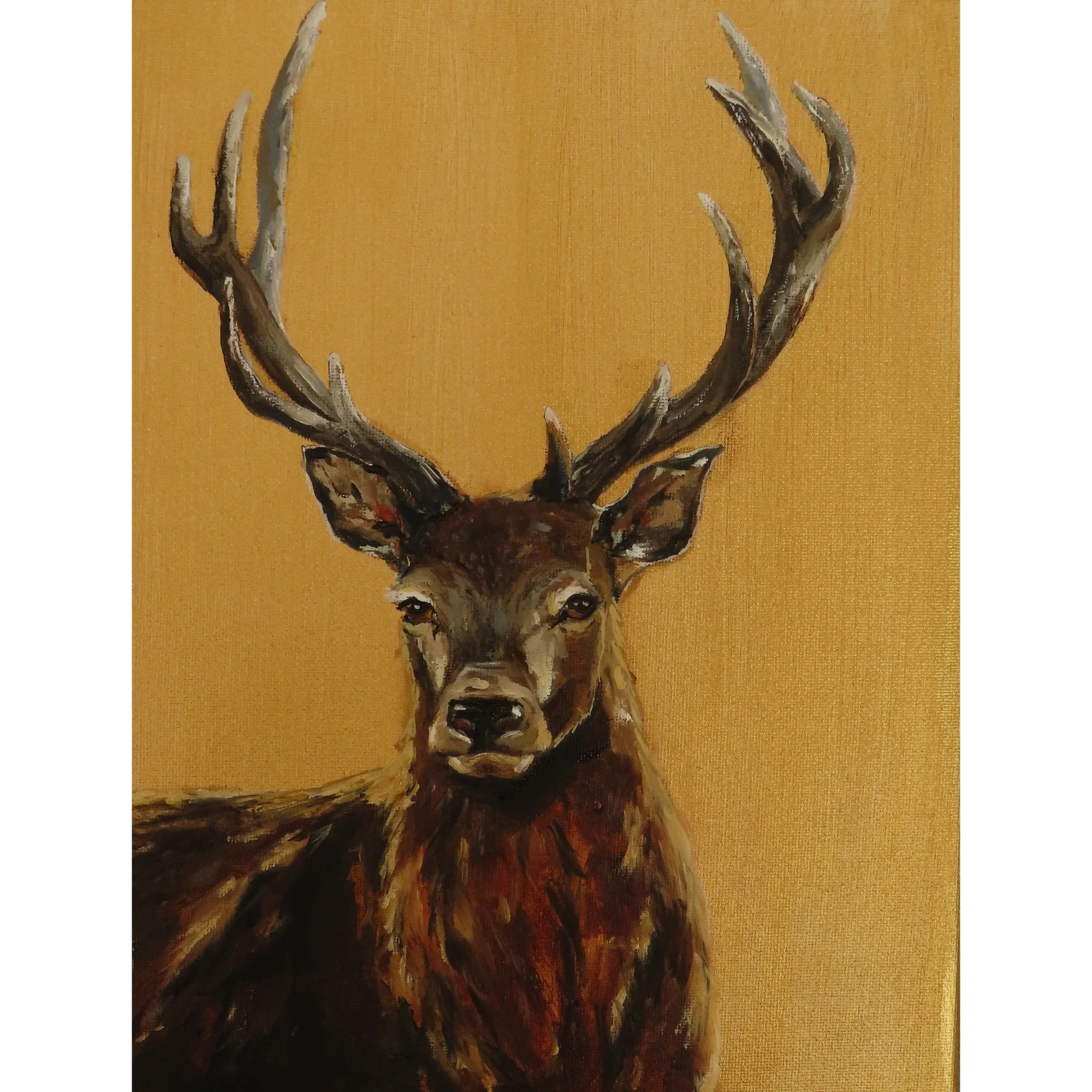stag_square_final.jpg