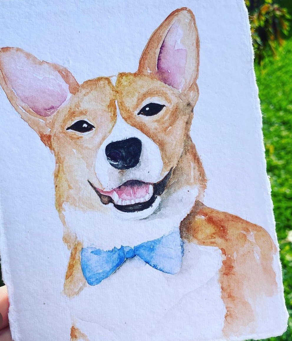 corgi.jpg