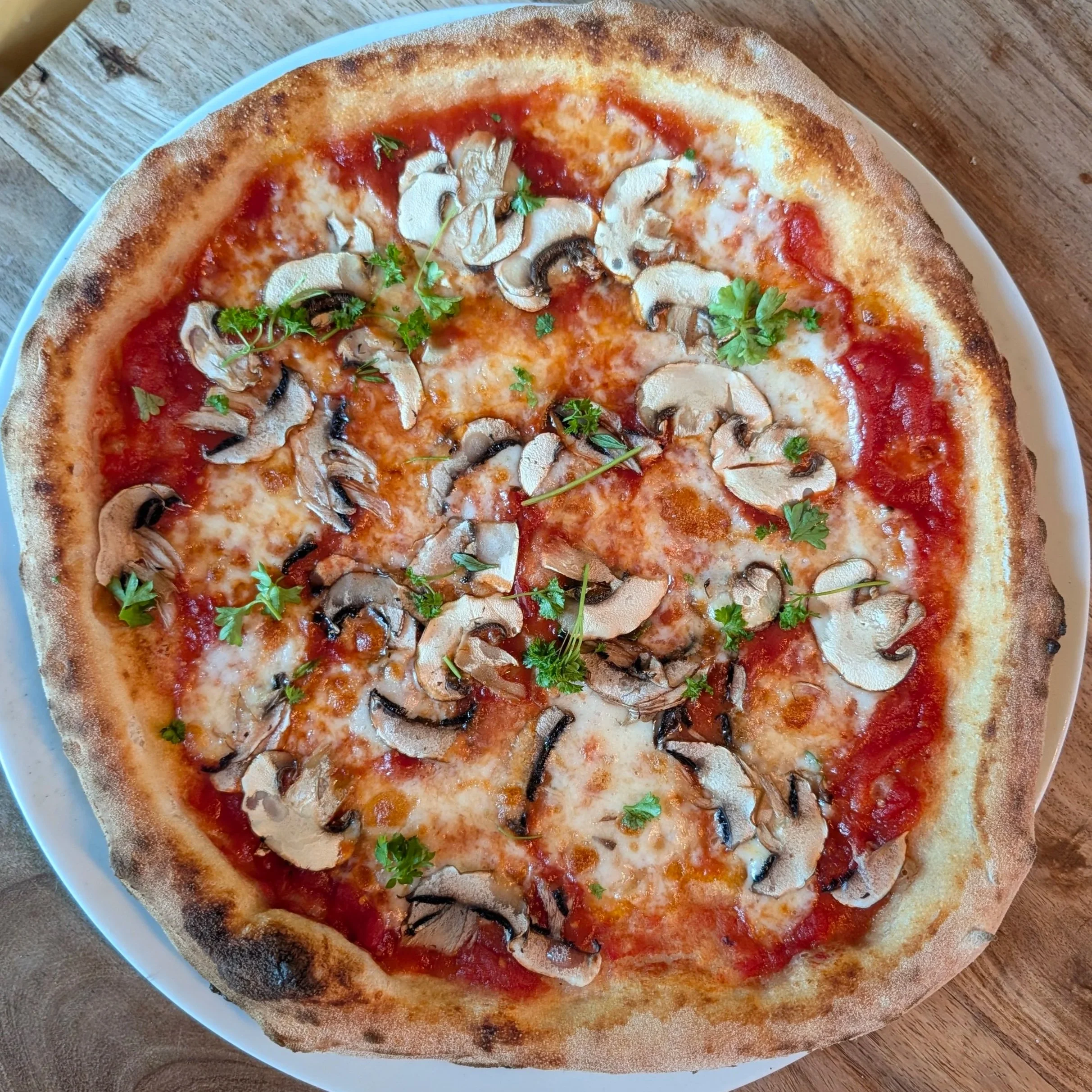 Pizza Funghi - Tomatensoße, Käse und frischen Champignons und Kräutern.
