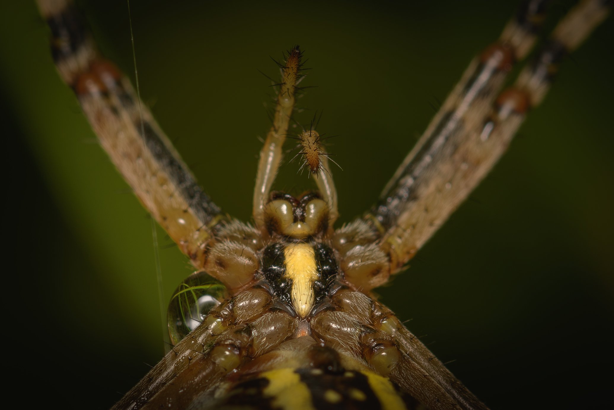 DSC_3029.jpg