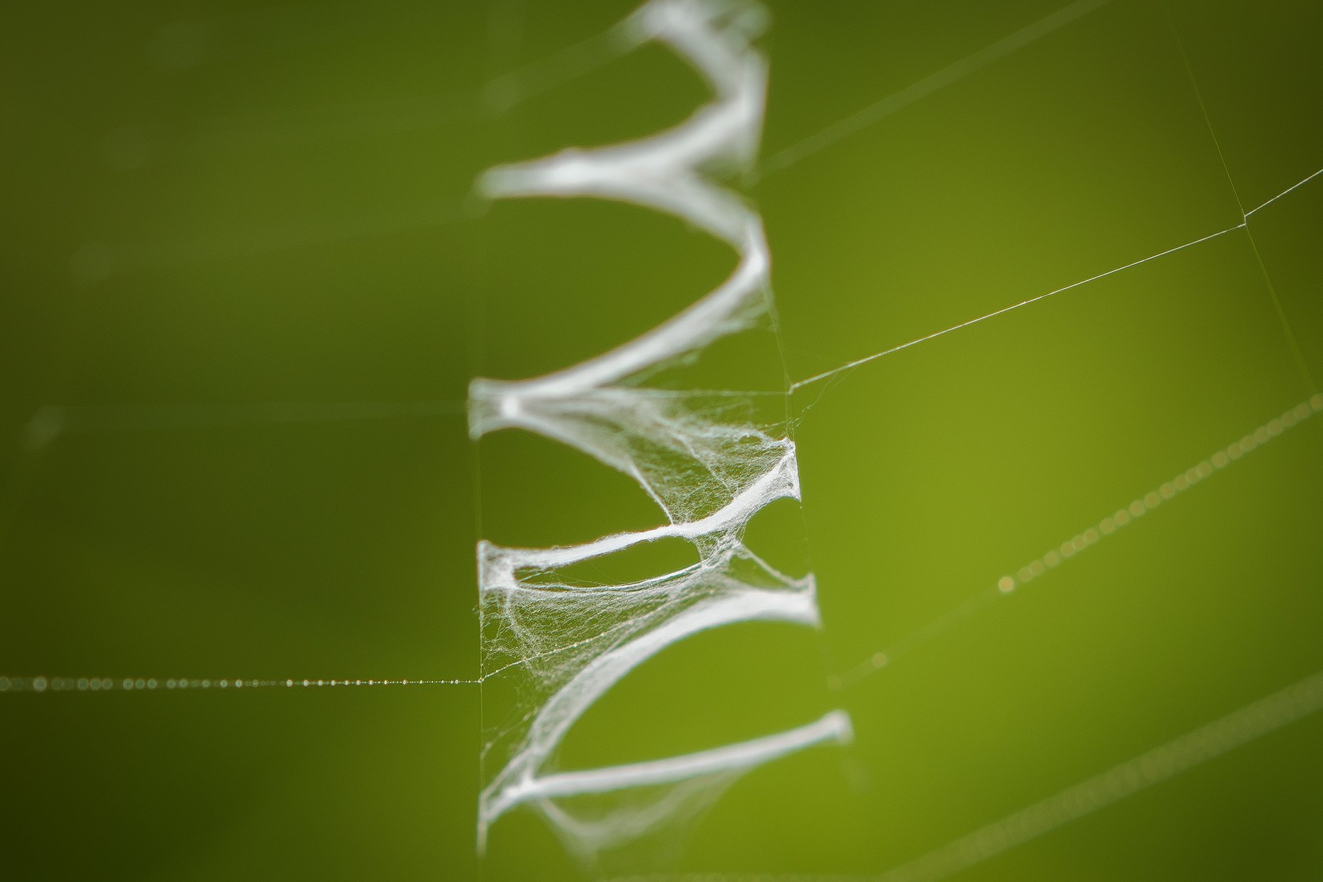 DSC_3297.jpg