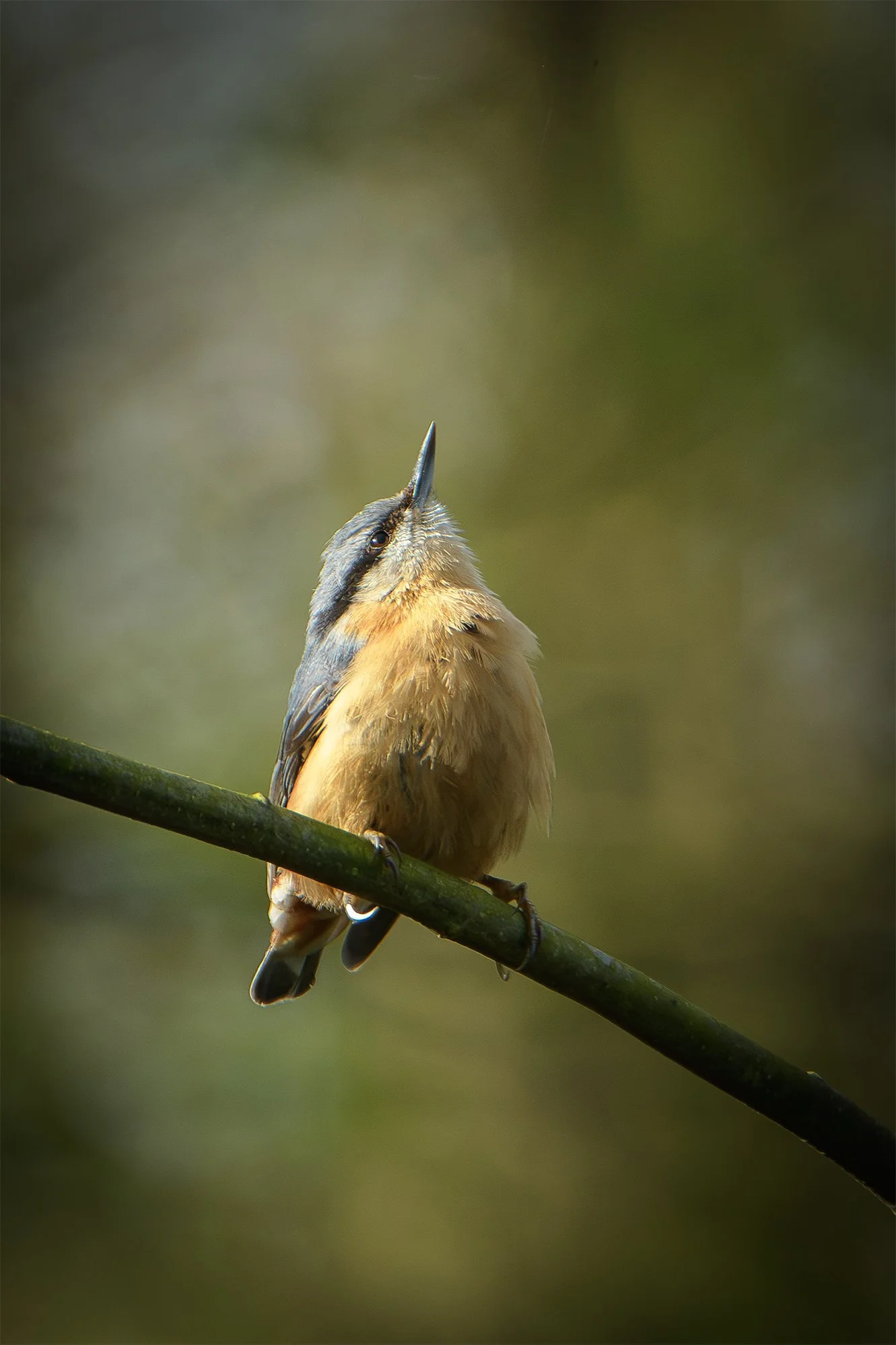 DSC_5856.jpg
