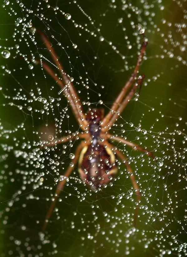 DSC_1834_hp.jpg