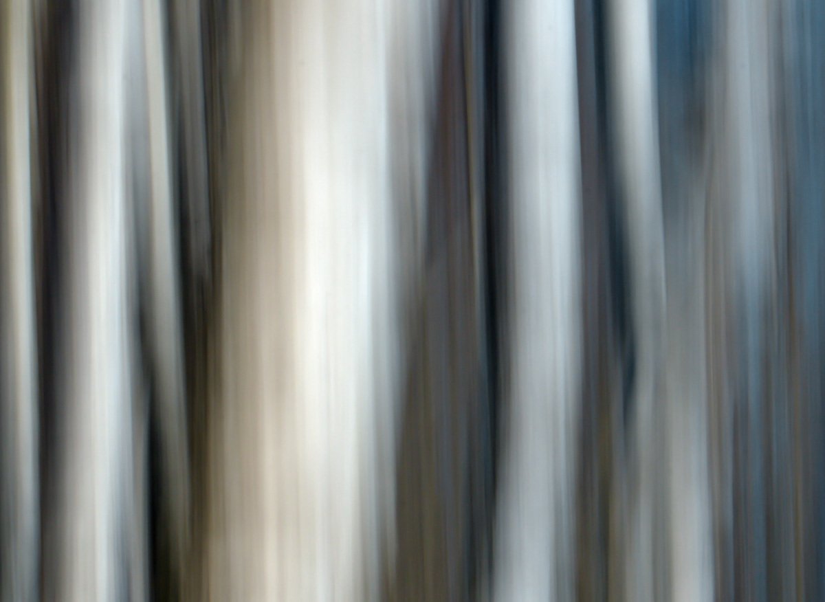 DSC_0354_00001.jpg