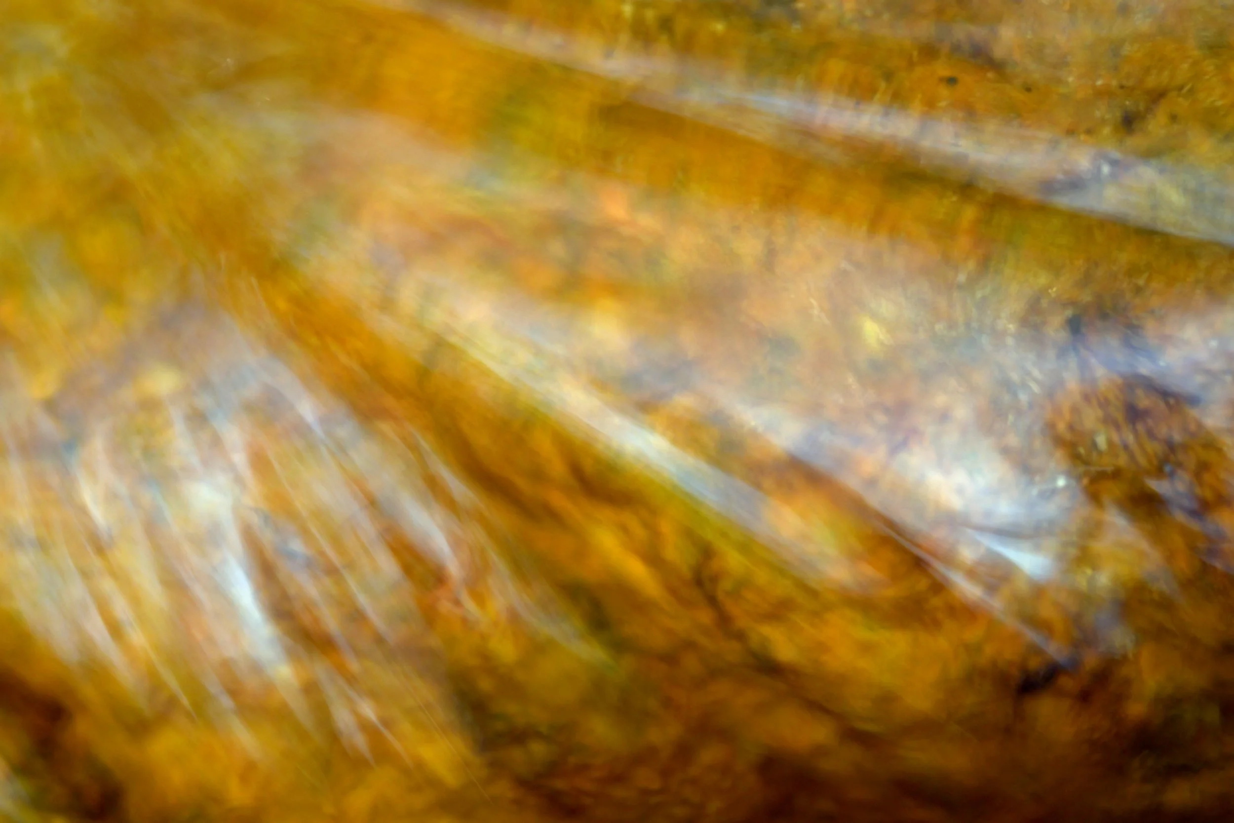 DSC_2066.jpg