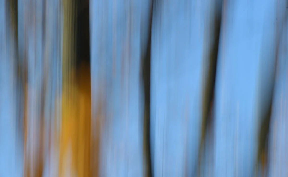 DSC_7963_00001_hp.jpg