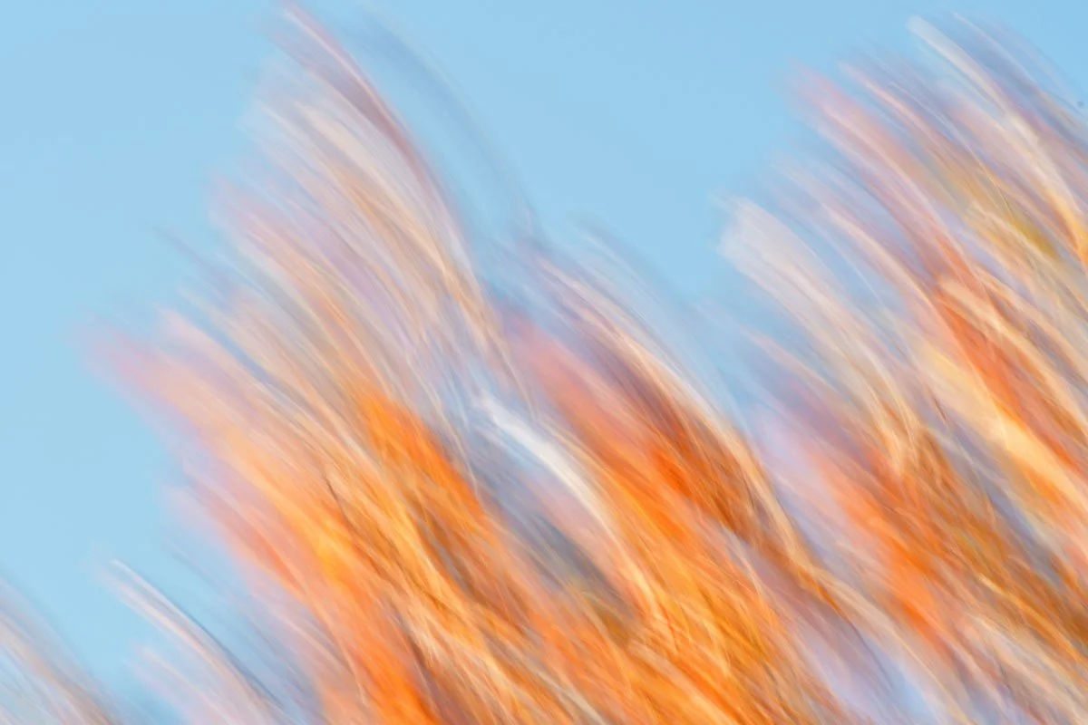 DSC_7435_00001_hp.jpg