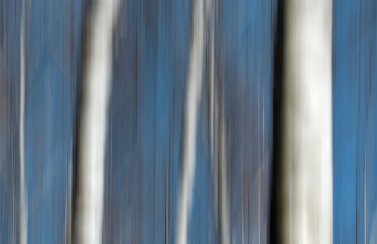 DSC_0344_00001.jpg