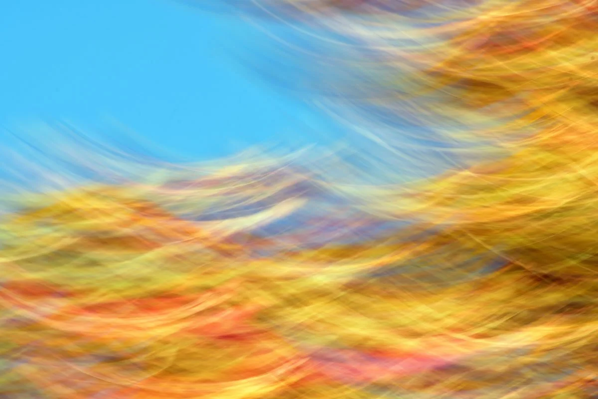 DSC_7429_00001_hp.jpg