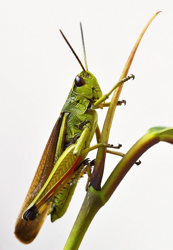 DSC_0672_hp.jpg