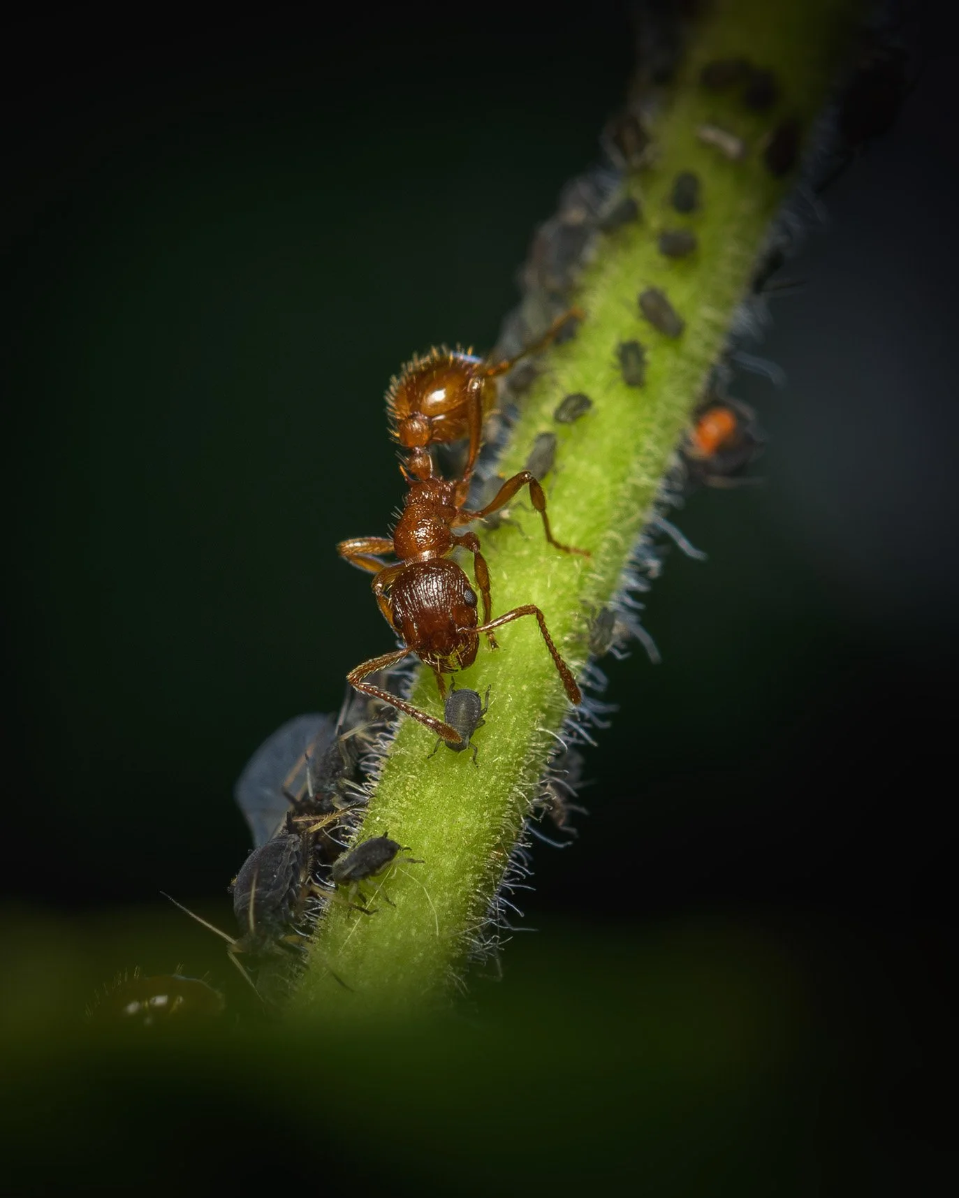 DSC_5772_ig.jpg