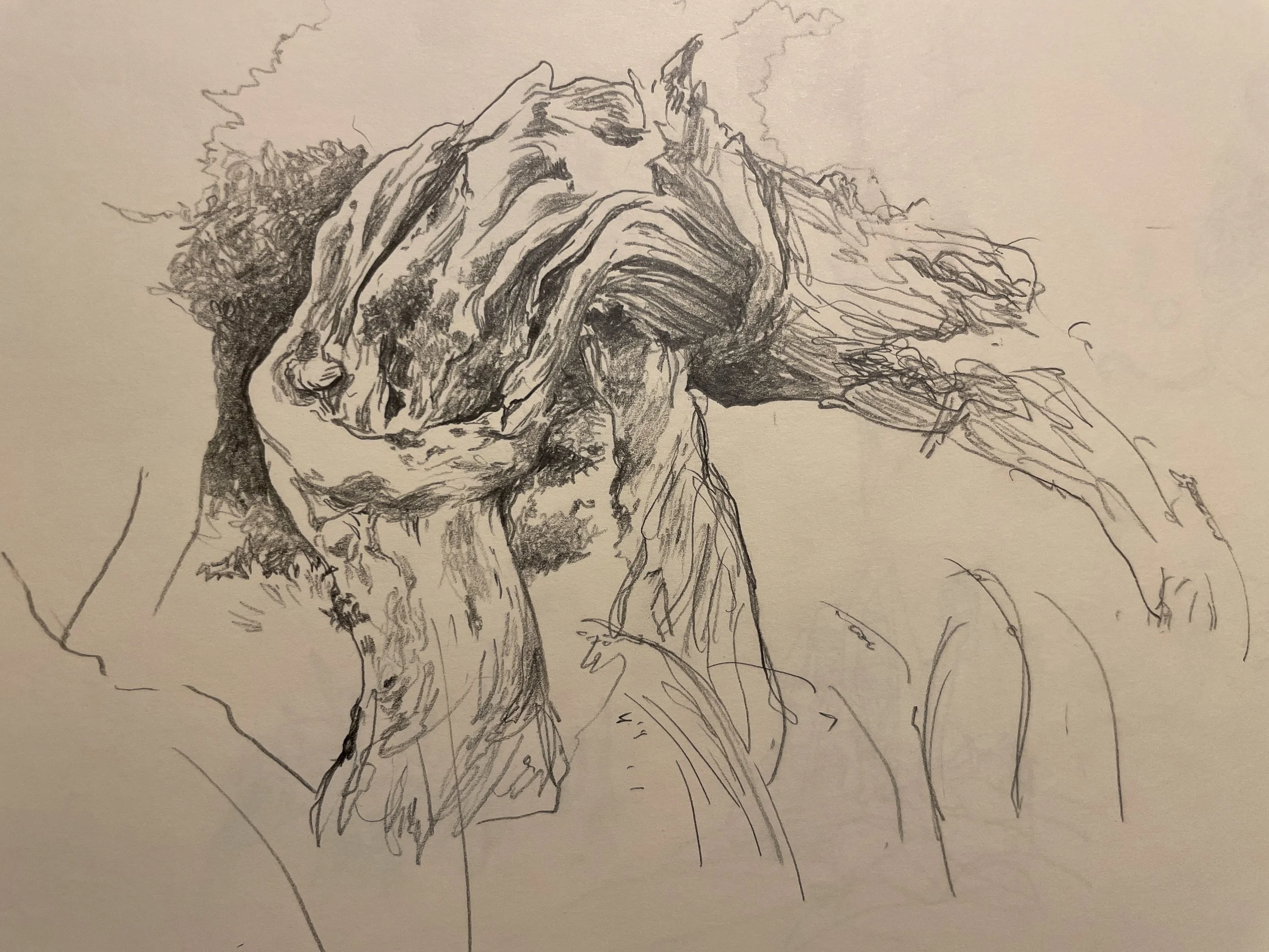 Pencil, 2017