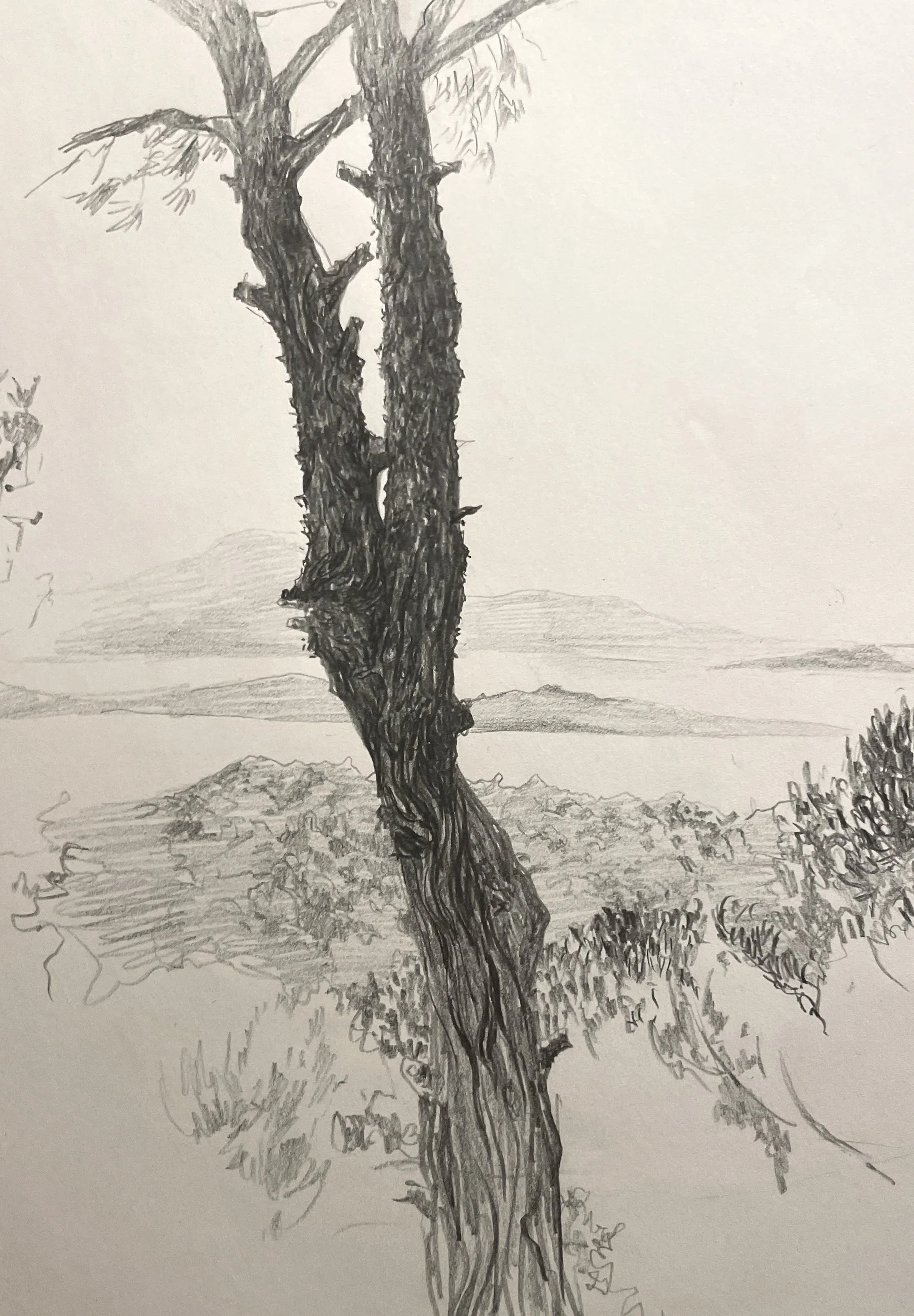 Pencil, 2018
