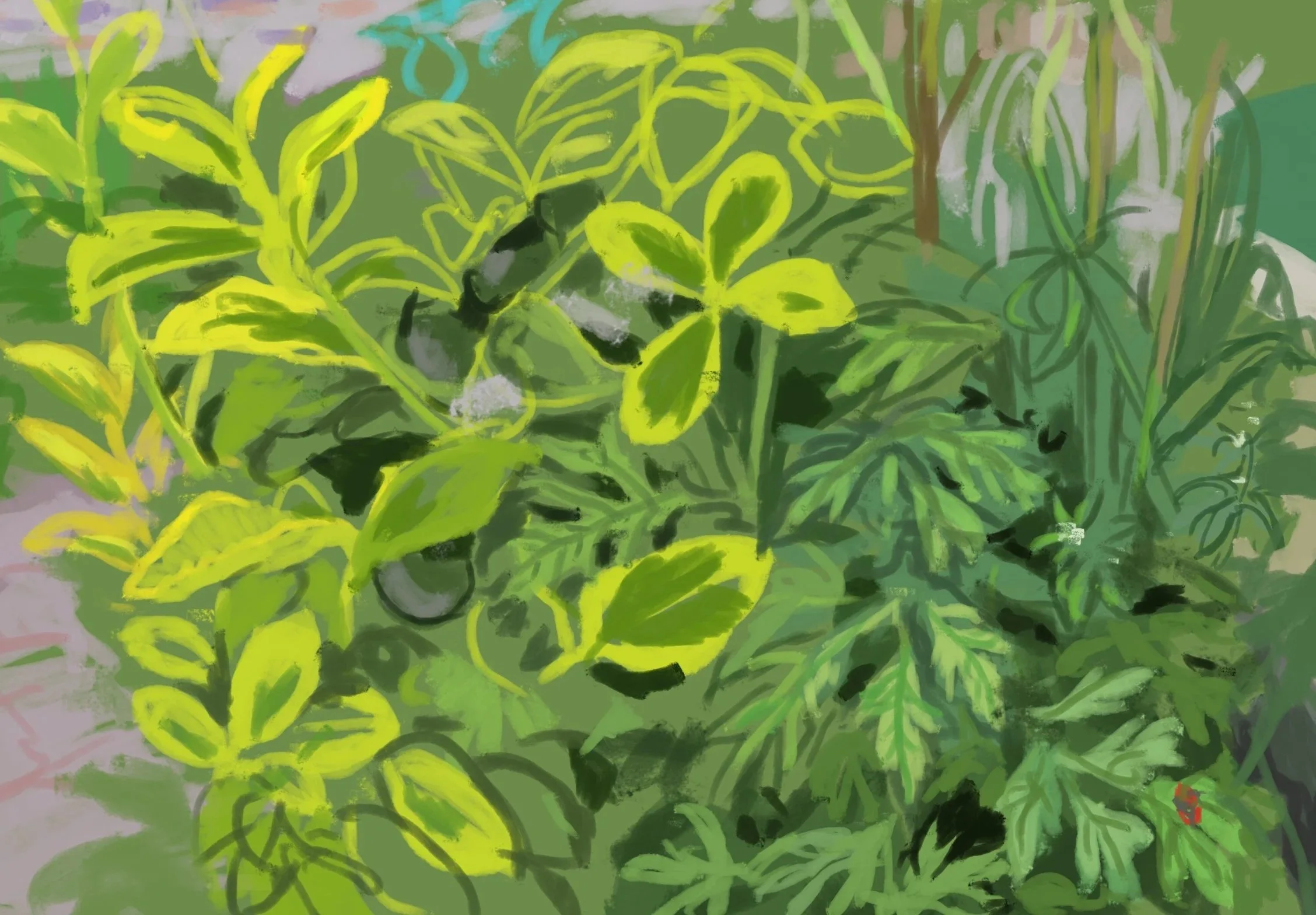 Plants in front of my door, digital, 2026