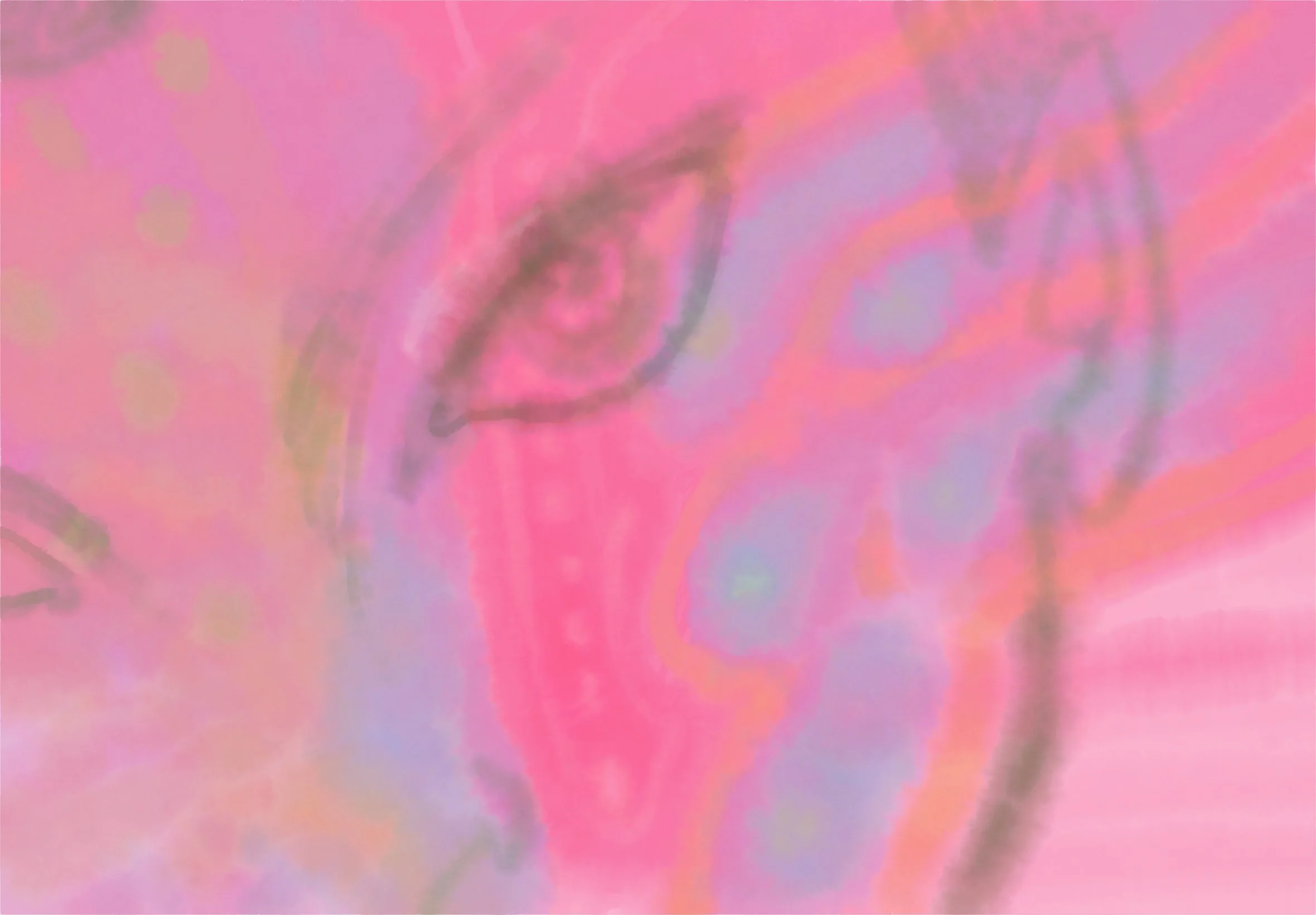 Untitled - 9 February 2026 20.jpg