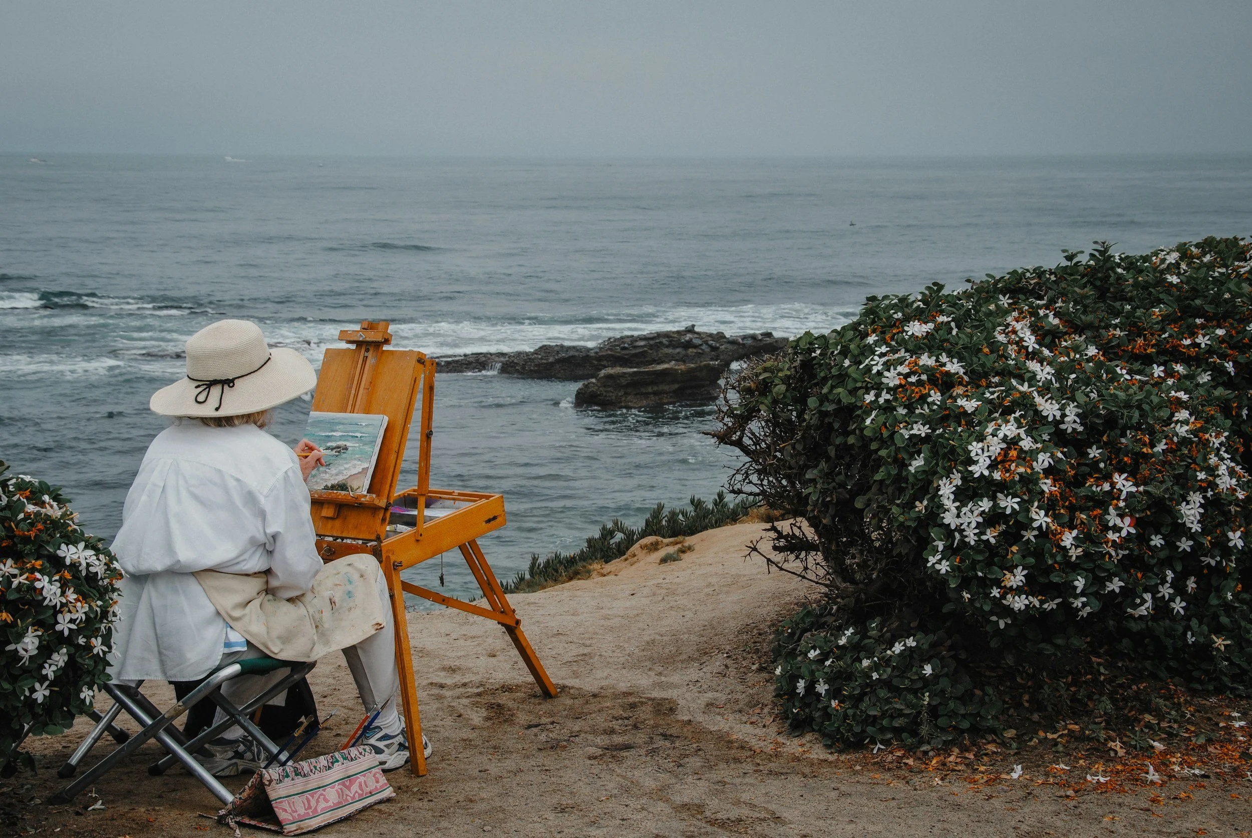 An artist sitting outdoors on a folding chair by the beach, painting on a canvas placed on an easel, with ocean waves and rocks in the background, surrounded by flowering bushes.