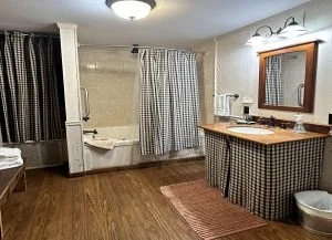 Bathroom with a bathtub and shower, separated by a curtain, and a vanity with a mirror and sink.