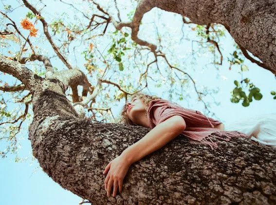 A person lying on a tree branch looking up at the sky through the branches and leaves.
