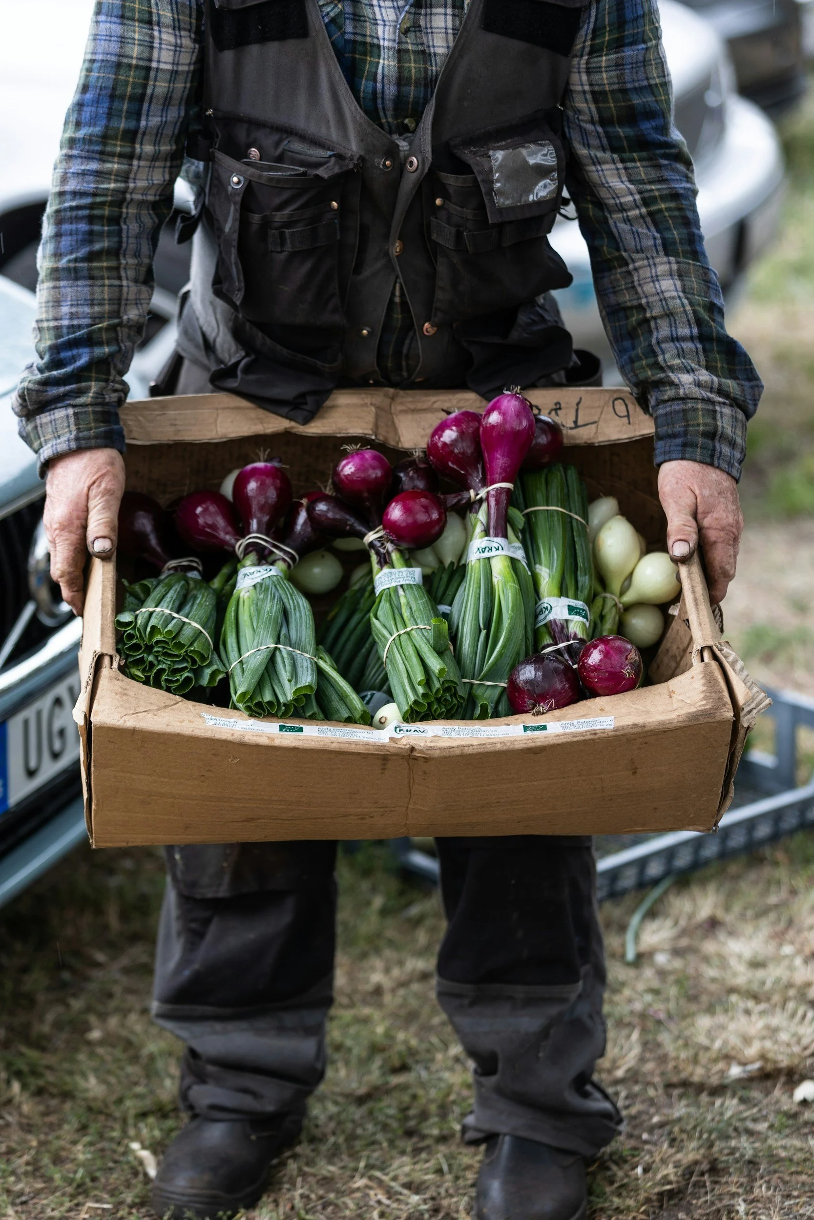 A person holding a cardboard box filled with red, white, and green onions while standing outdoors on grass, wearing black pants, boots, and a vest over a plaid shirt.