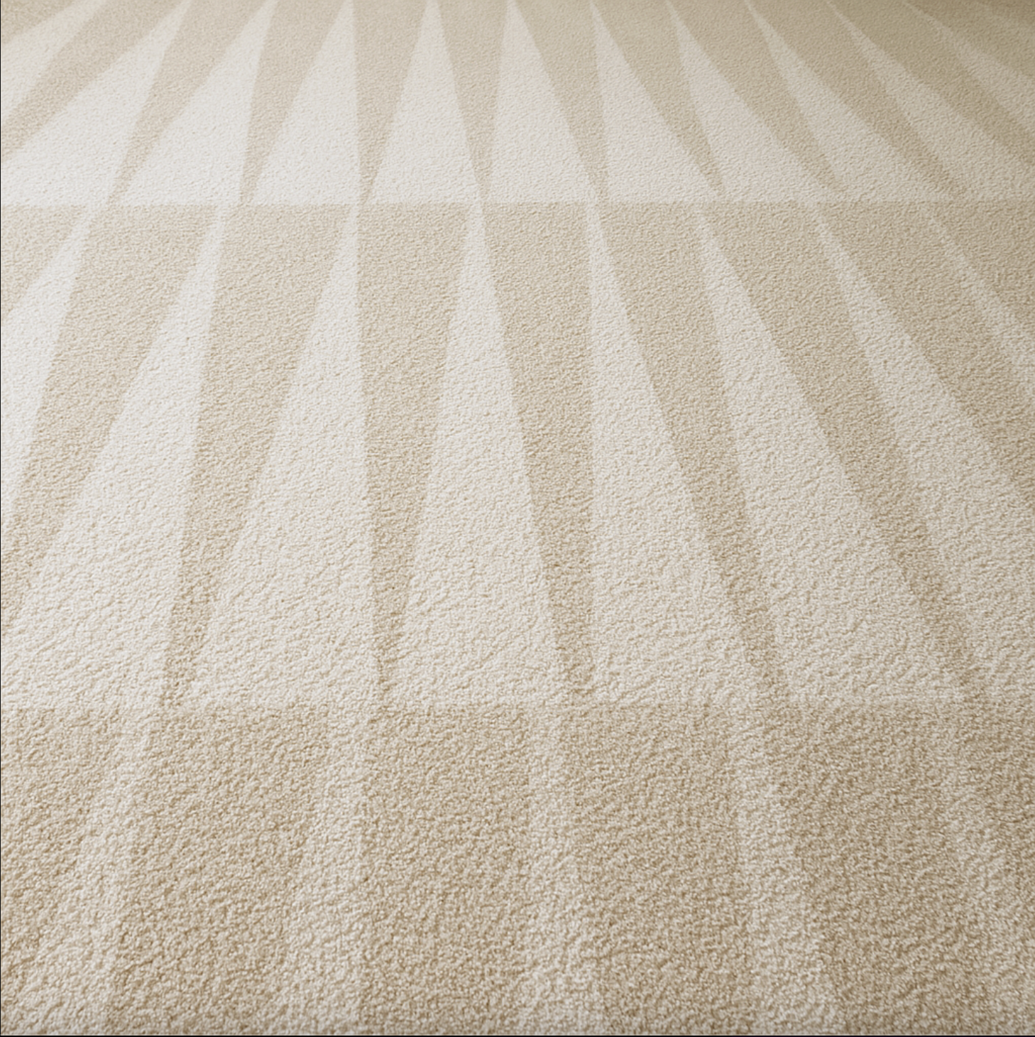 Private jet carpet shampoo and stain removal in Chino
