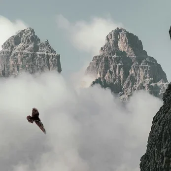 Mountain peaks surrounded by clouds with a bird flying in the foreground.