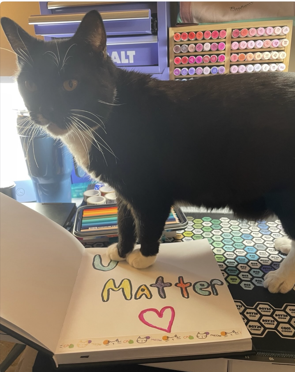 4”x6” You matter photo