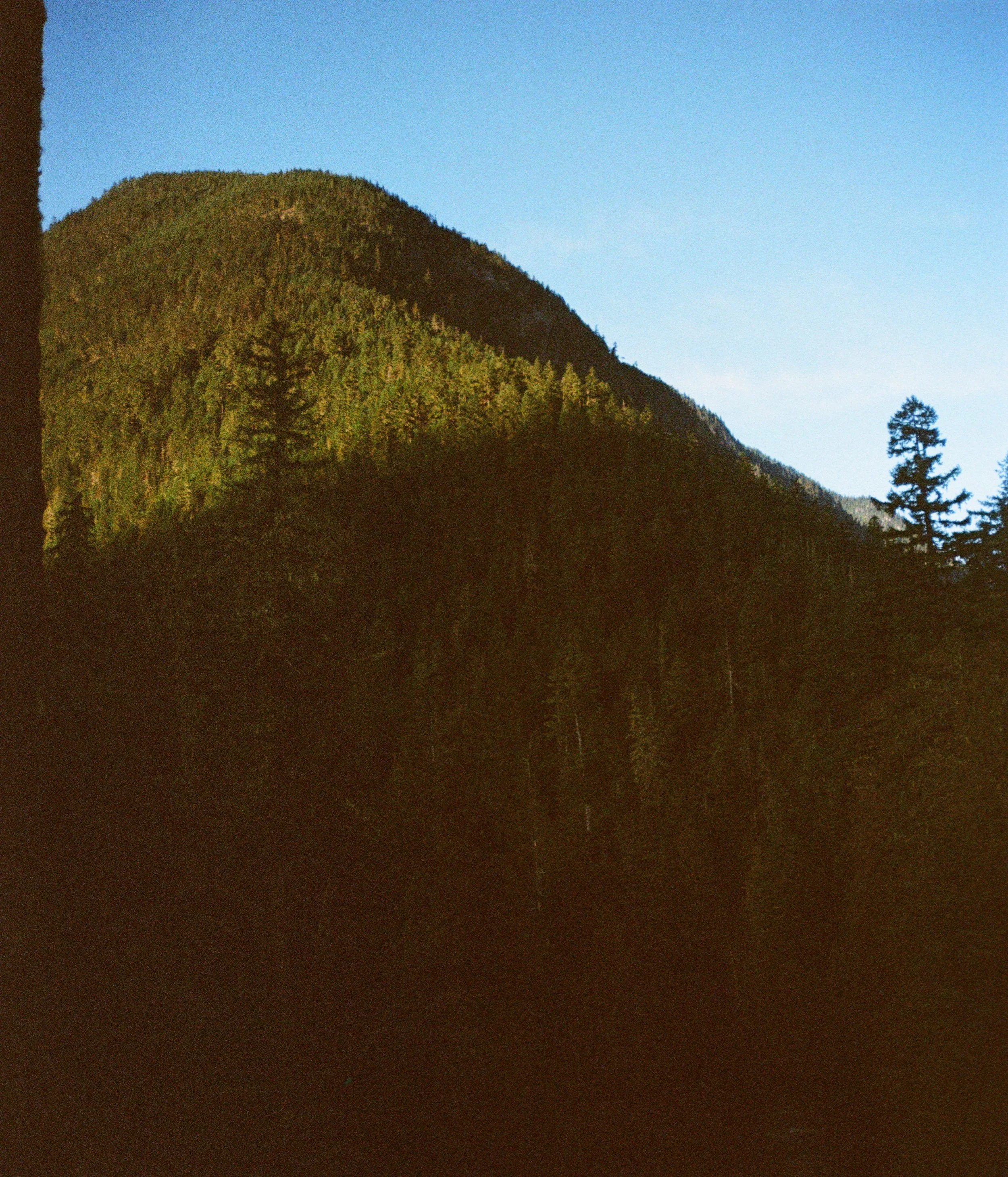 000077110004~2 (1).jpg