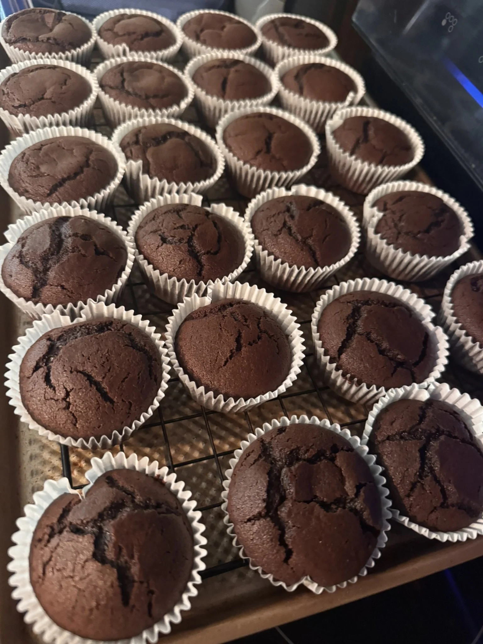 Chocolate Cupcakes.JPEG