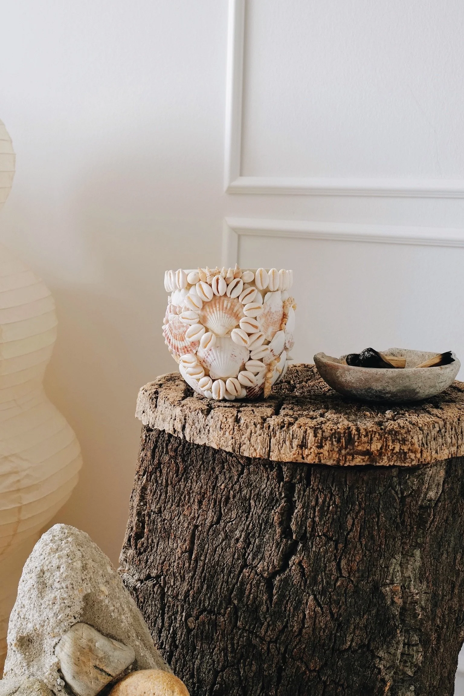 Seashell Vase
