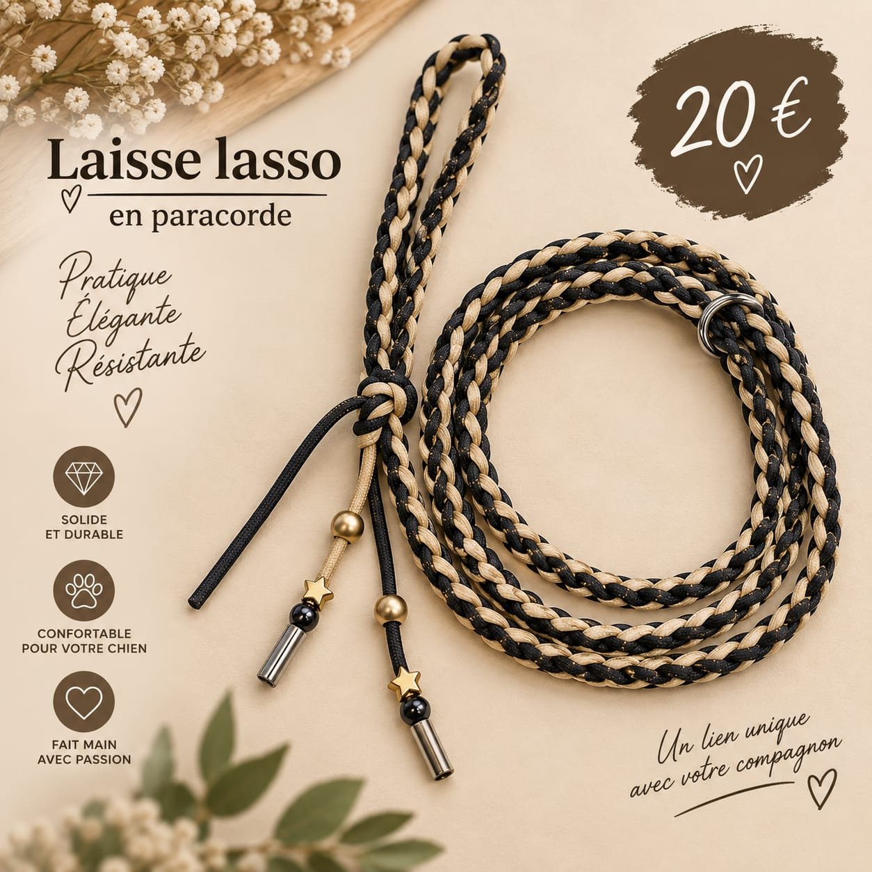 Laisse lasso 4.jpg