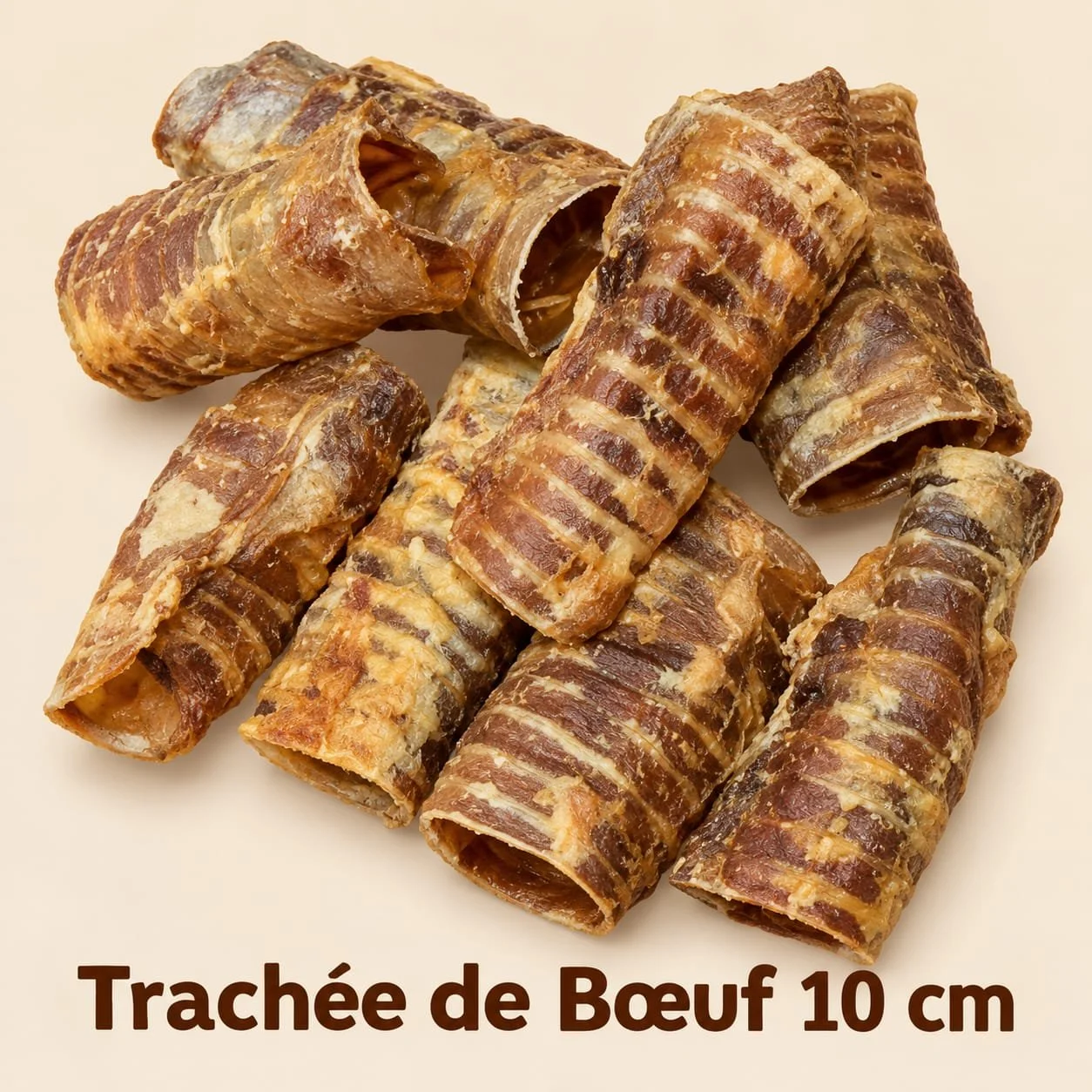 Trachée de boeuf