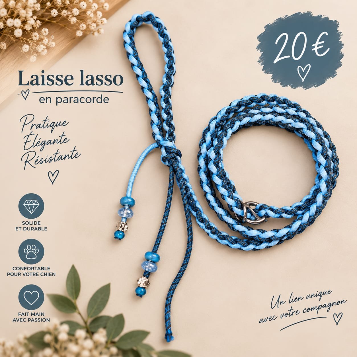 Laisse lasso 2.jpg