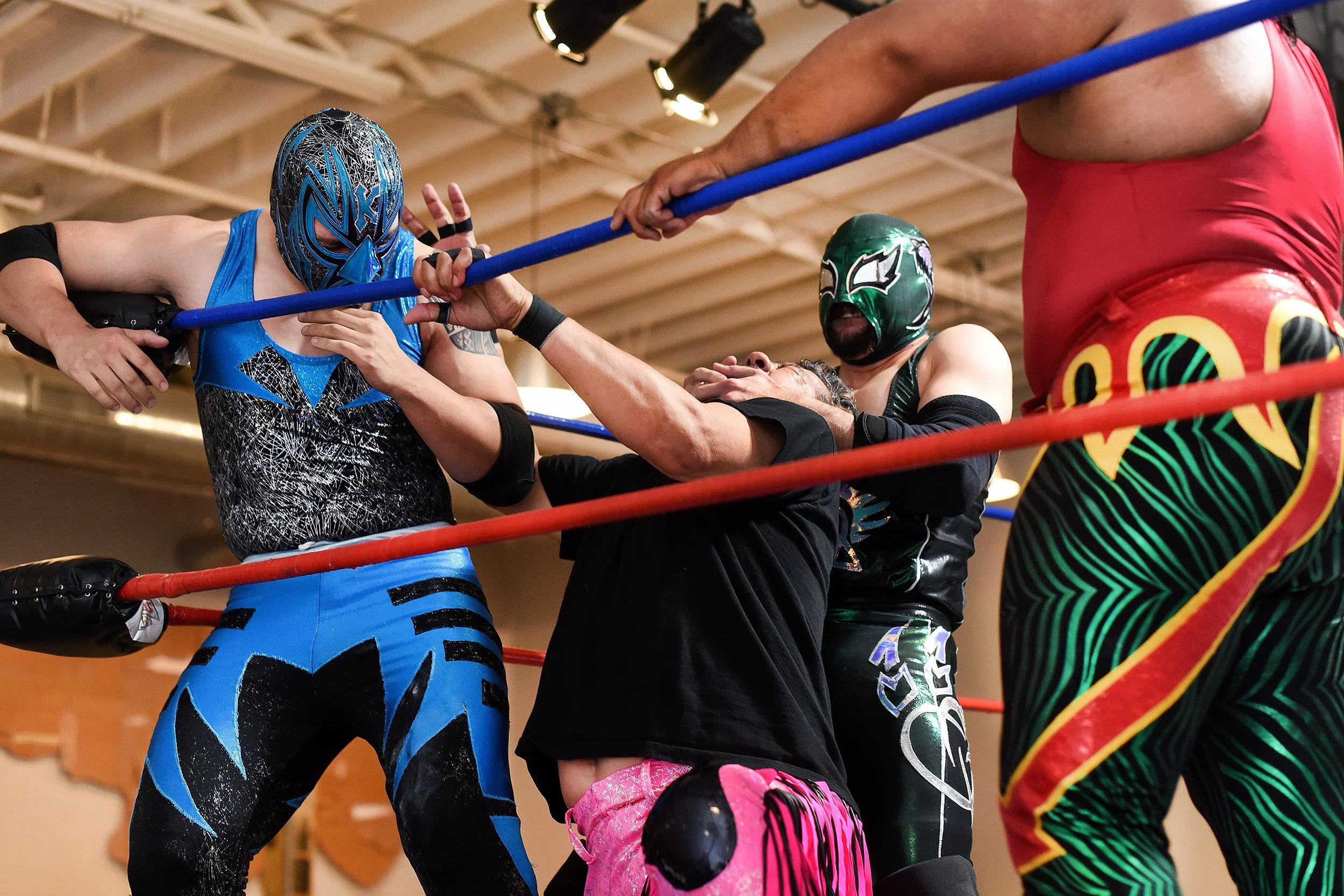 DSC_3650web.jpg