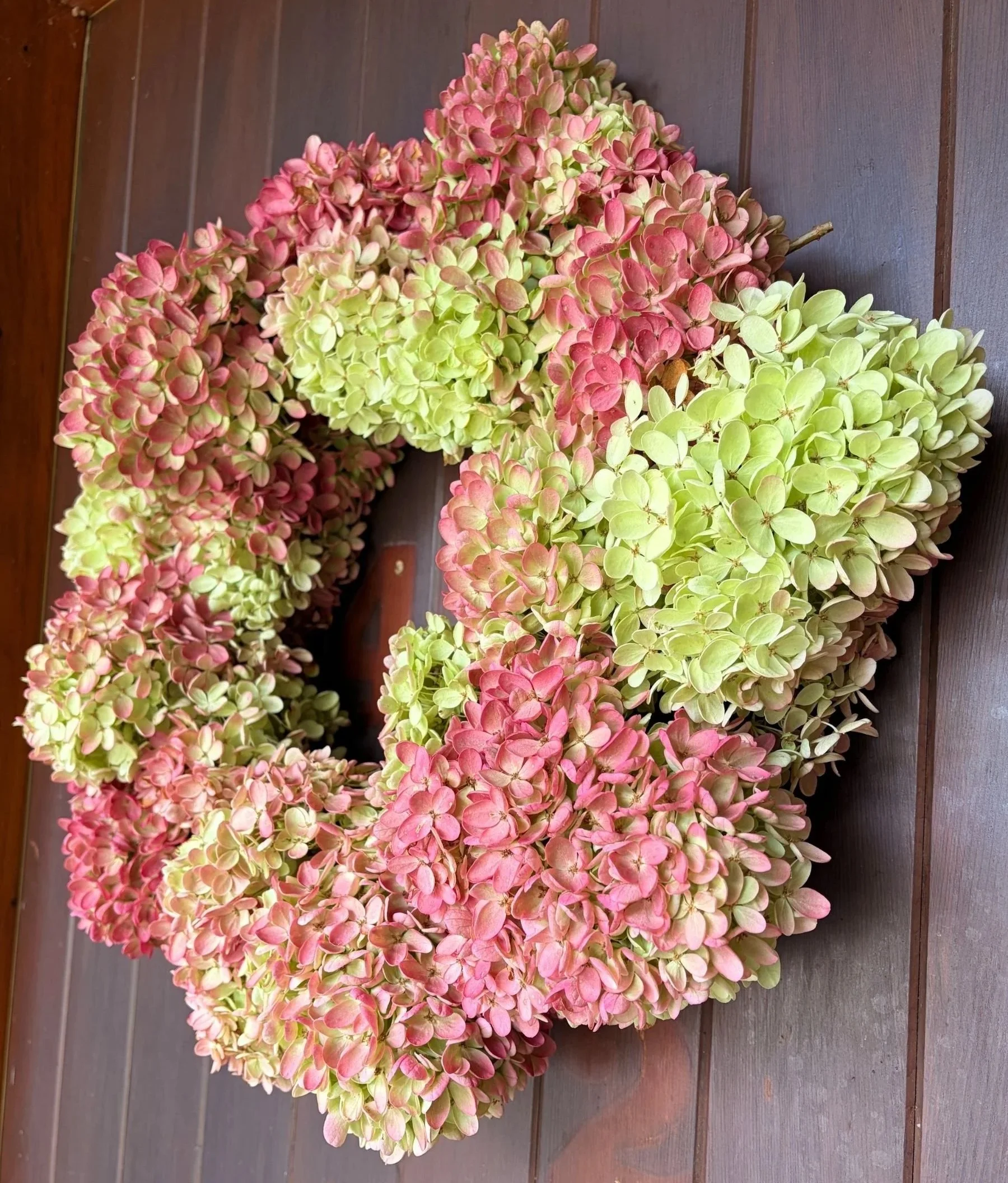 Finished Dried Hydrangea Wreath