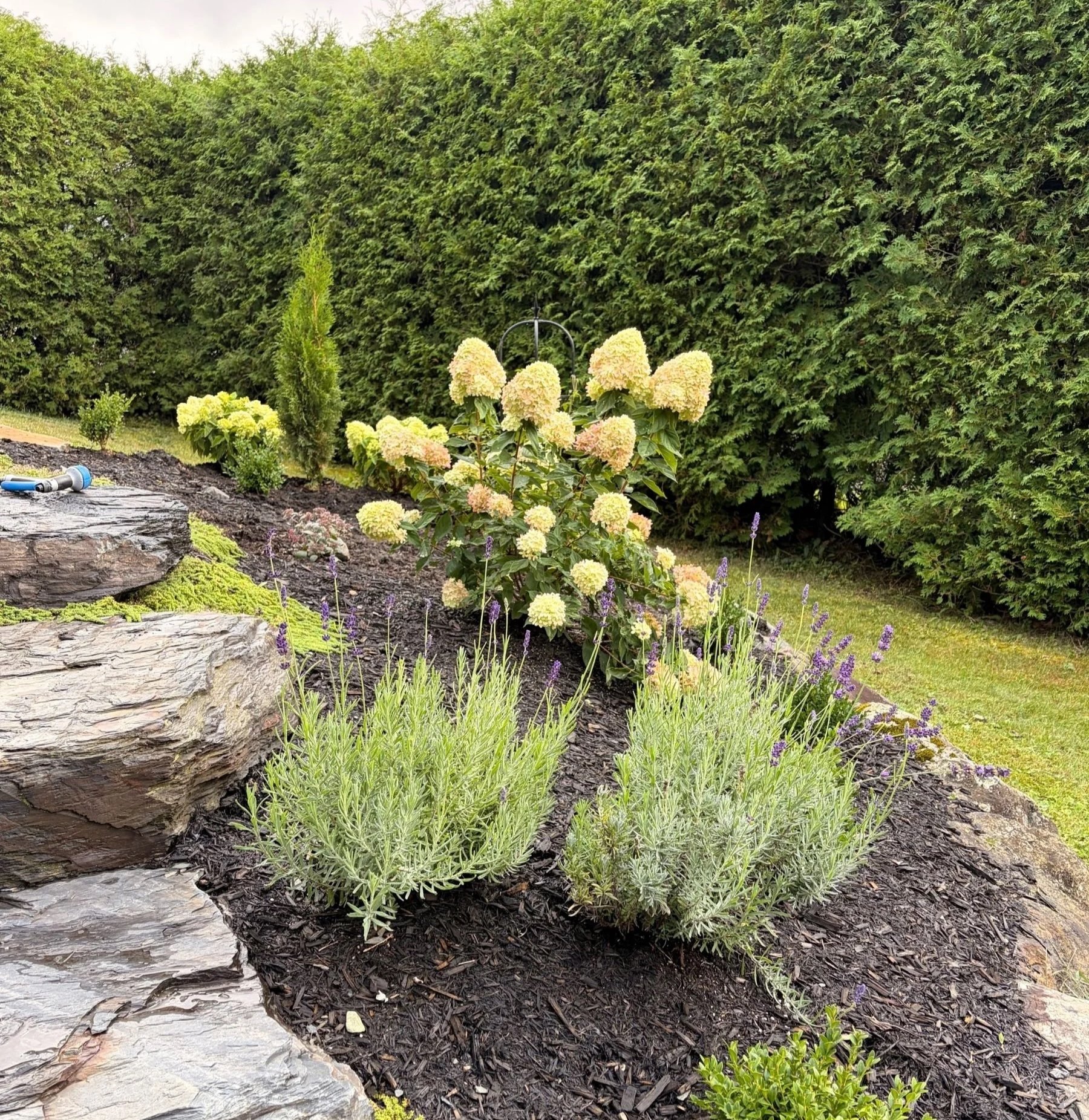Early Fall Garden