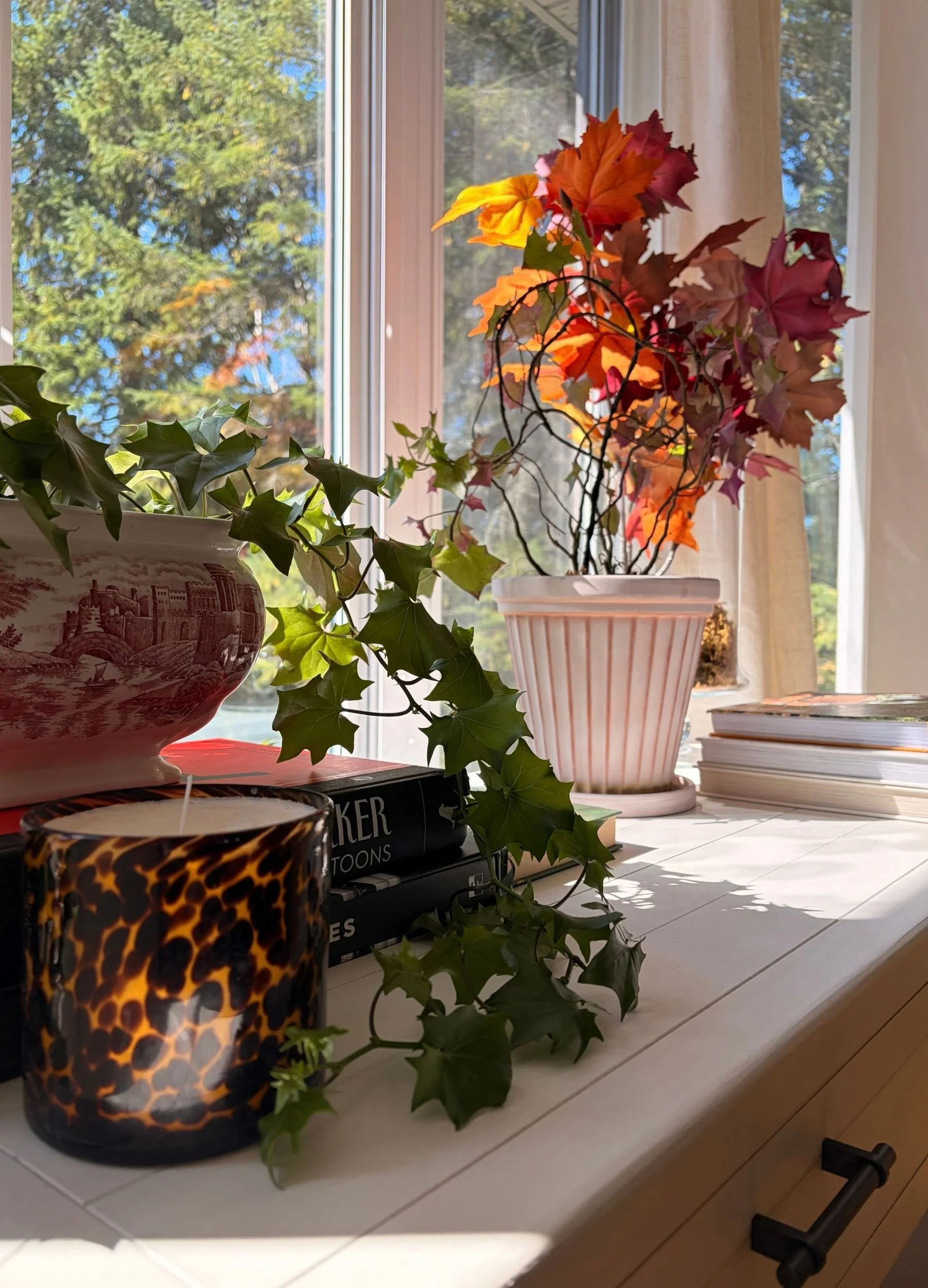 A Sunny Fall Window