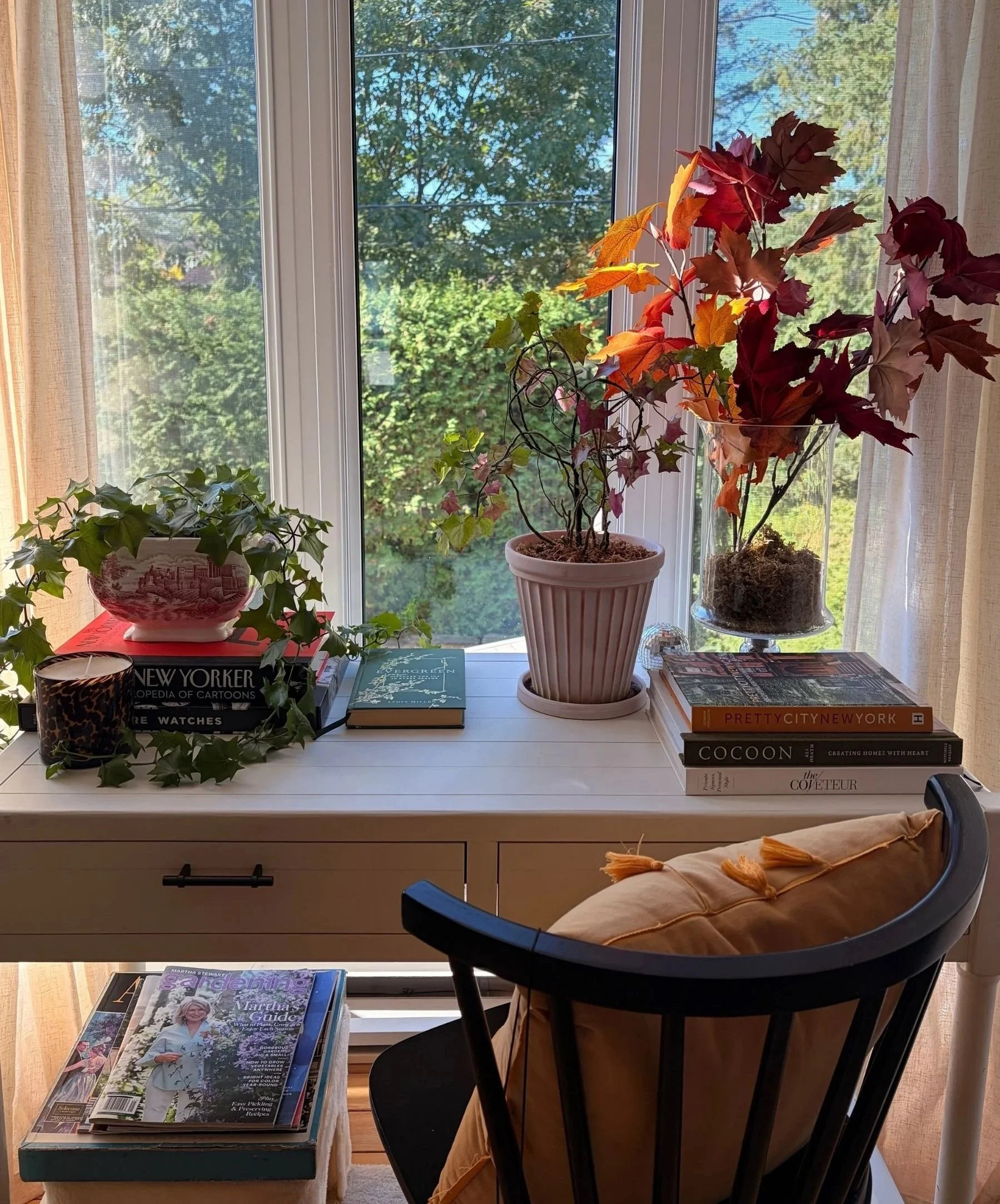 Autumn at the Window