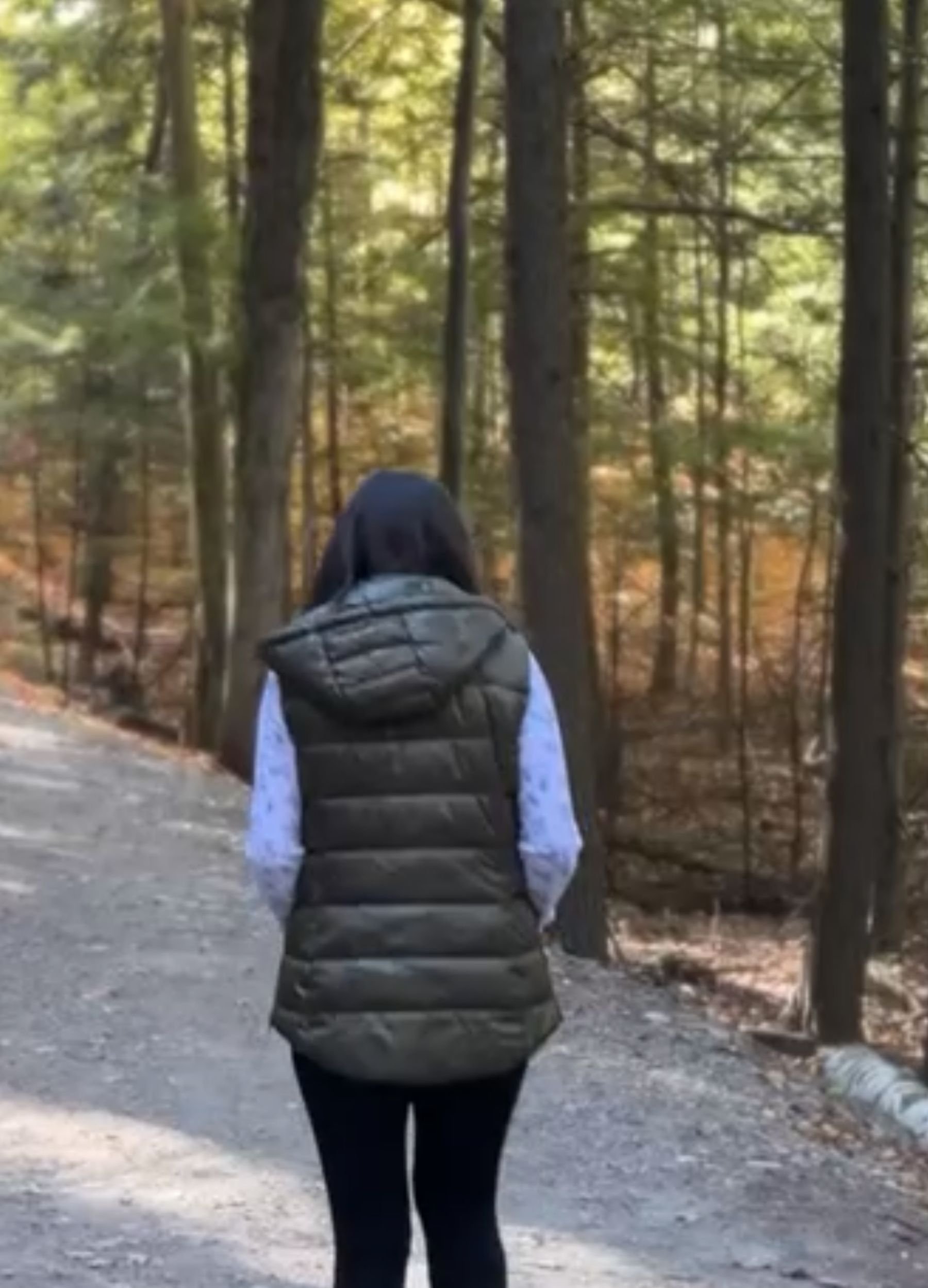 Woodland Nature Walk