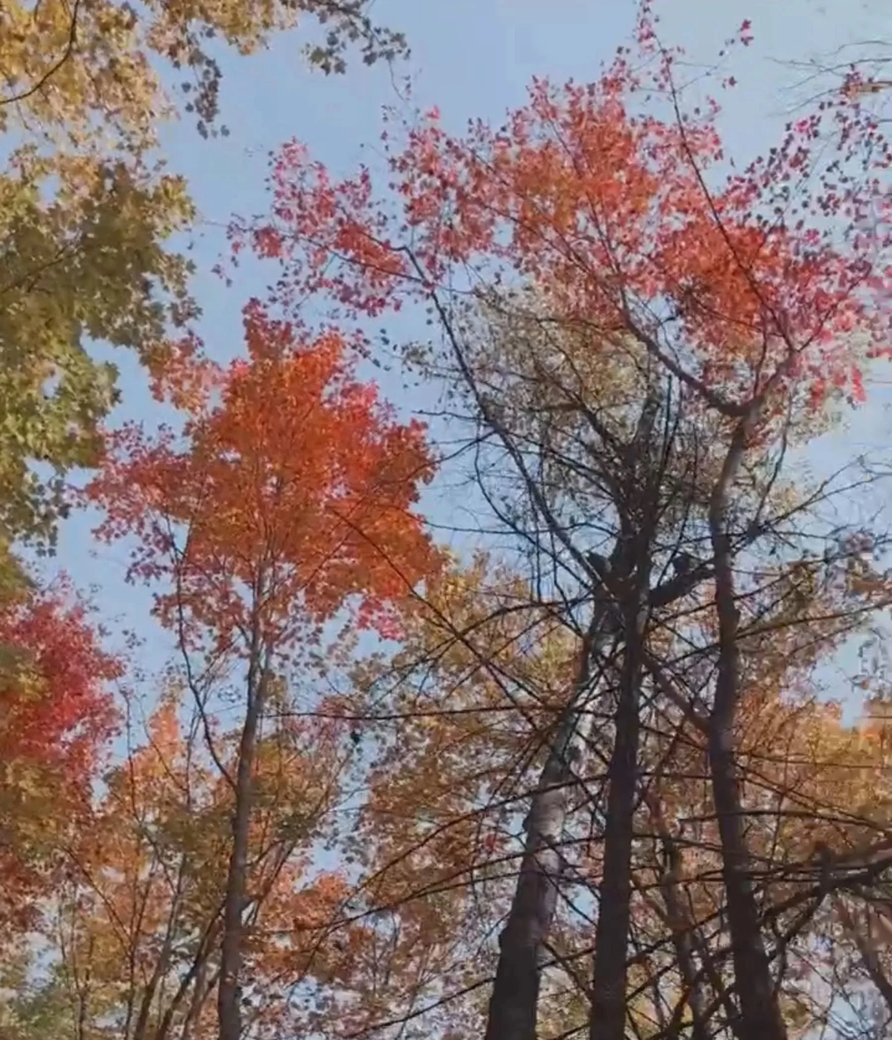Autumn Nature Walk