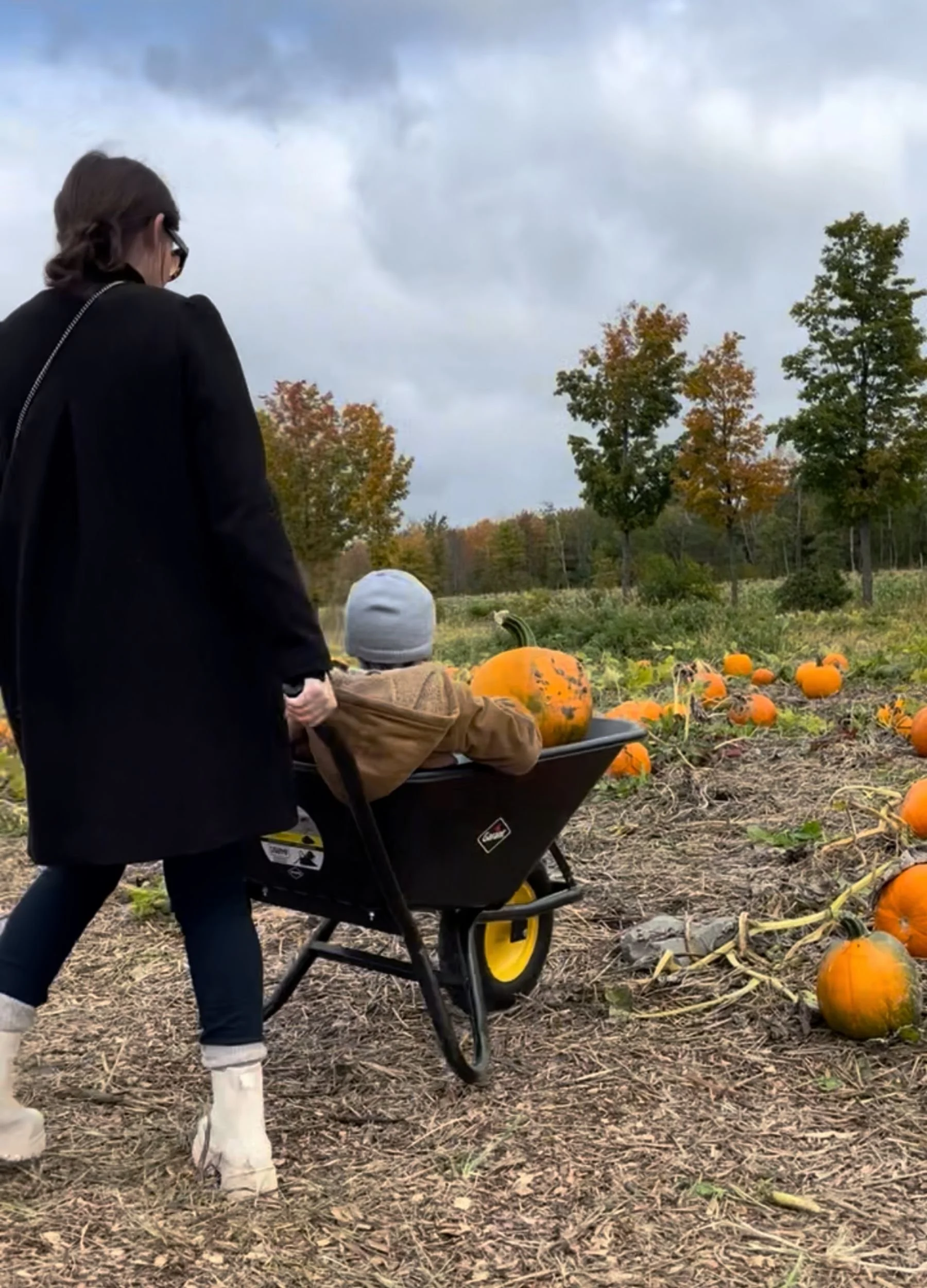 FAMILY PUMPKIN PICKING