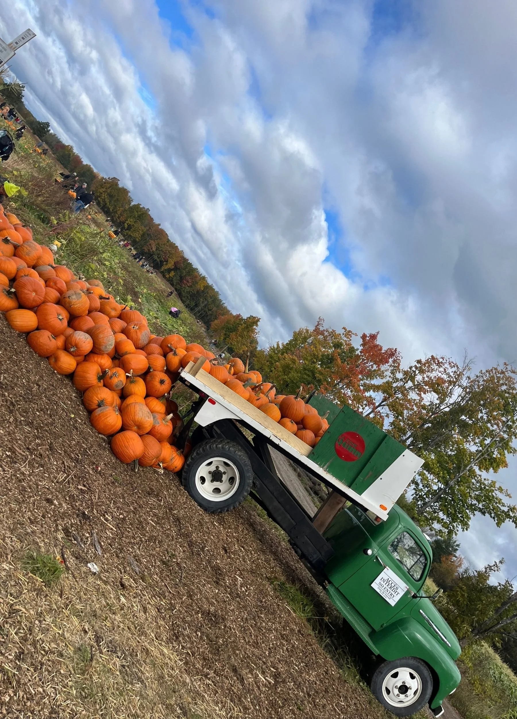 VINTAGE PUMPKIN TRUCK