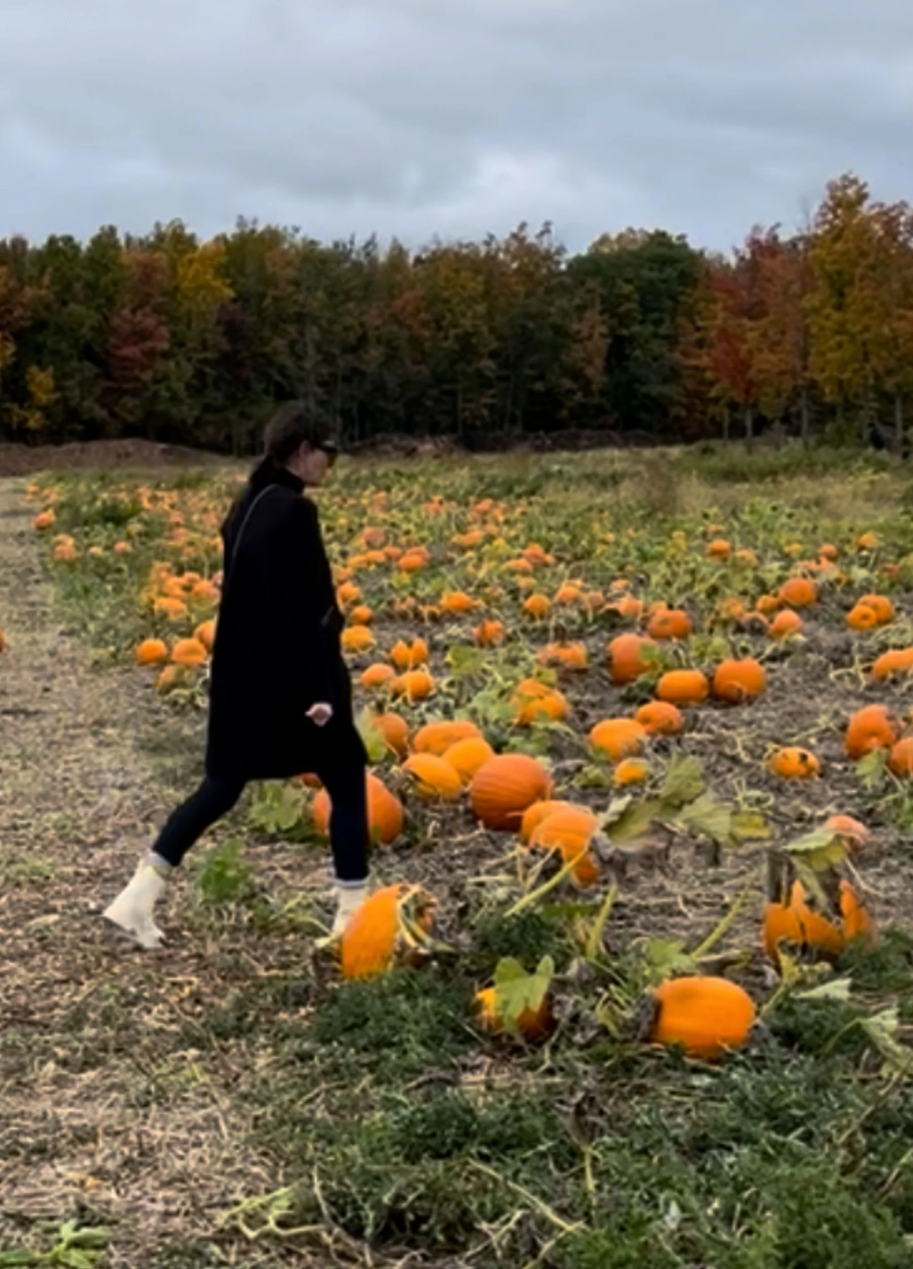 PUMPKIN PATCH WALK
