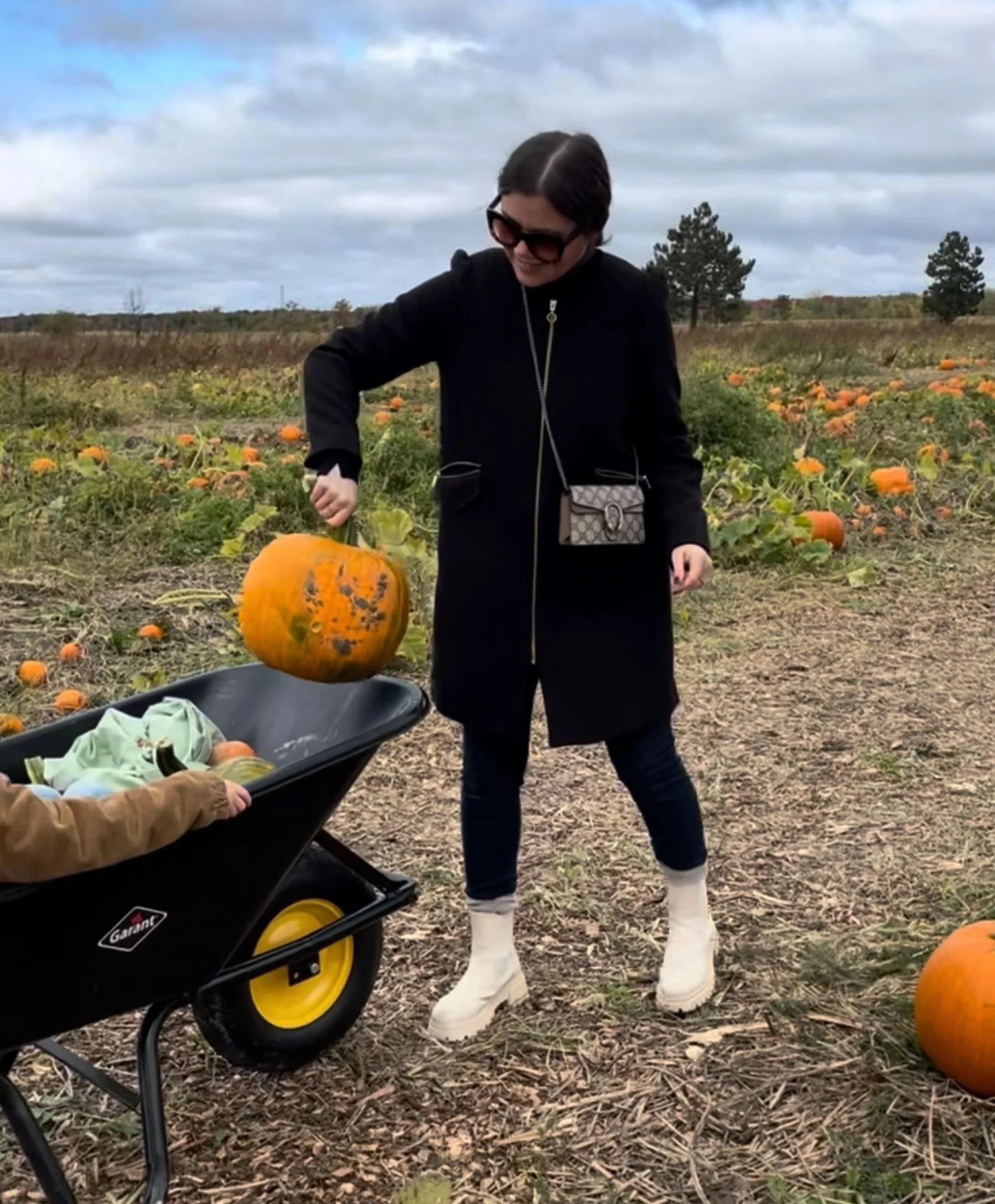 PICKING THE PERFECT PUMPKIN