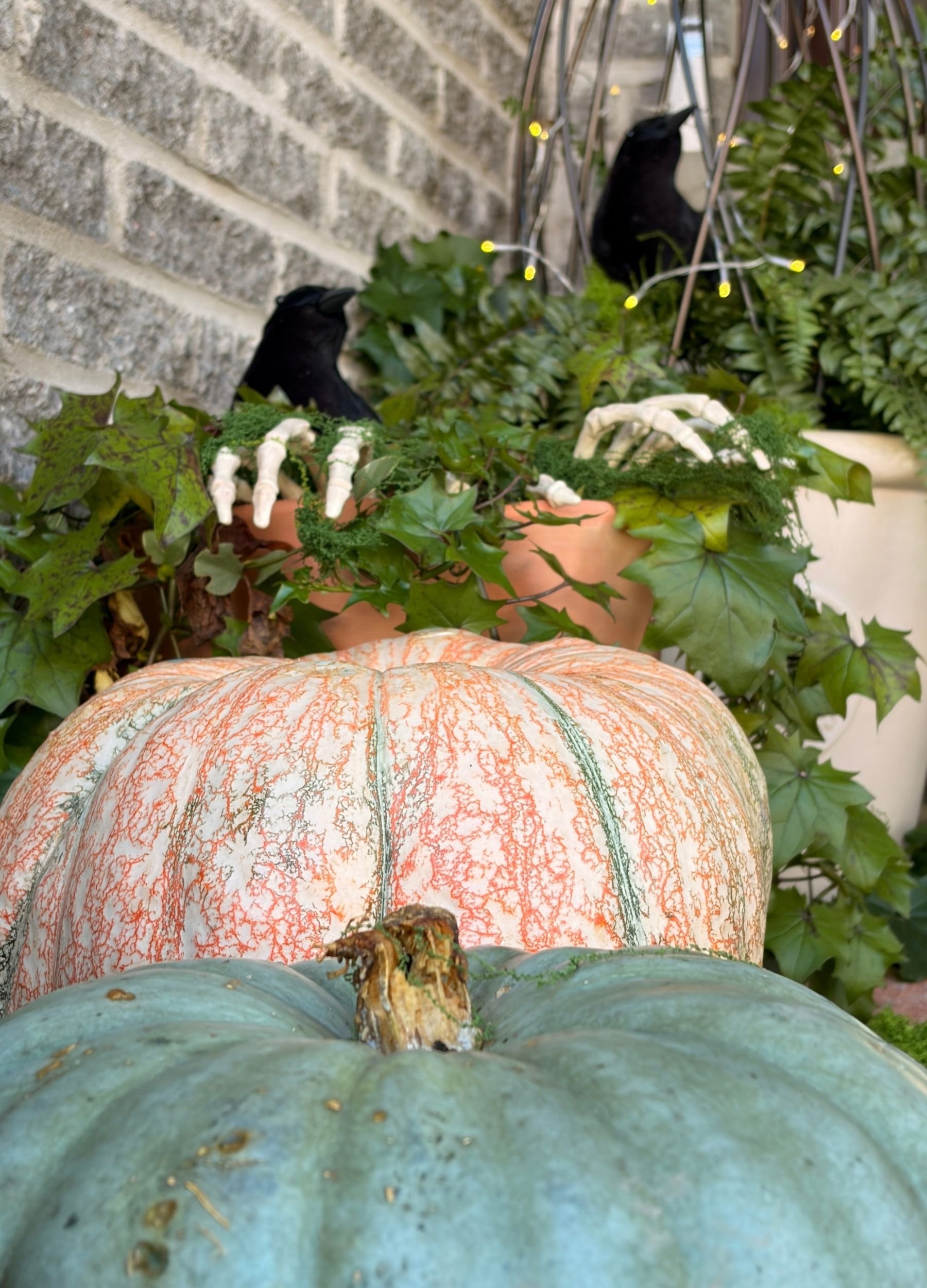 Sage Pumpkins &amp; Ravens