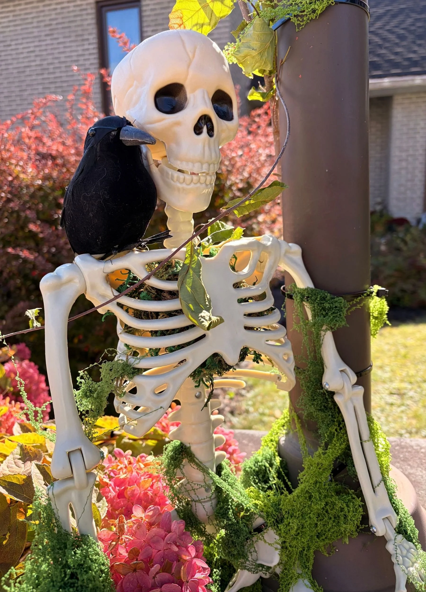 Skeleton &amp; Burgundy Mums
